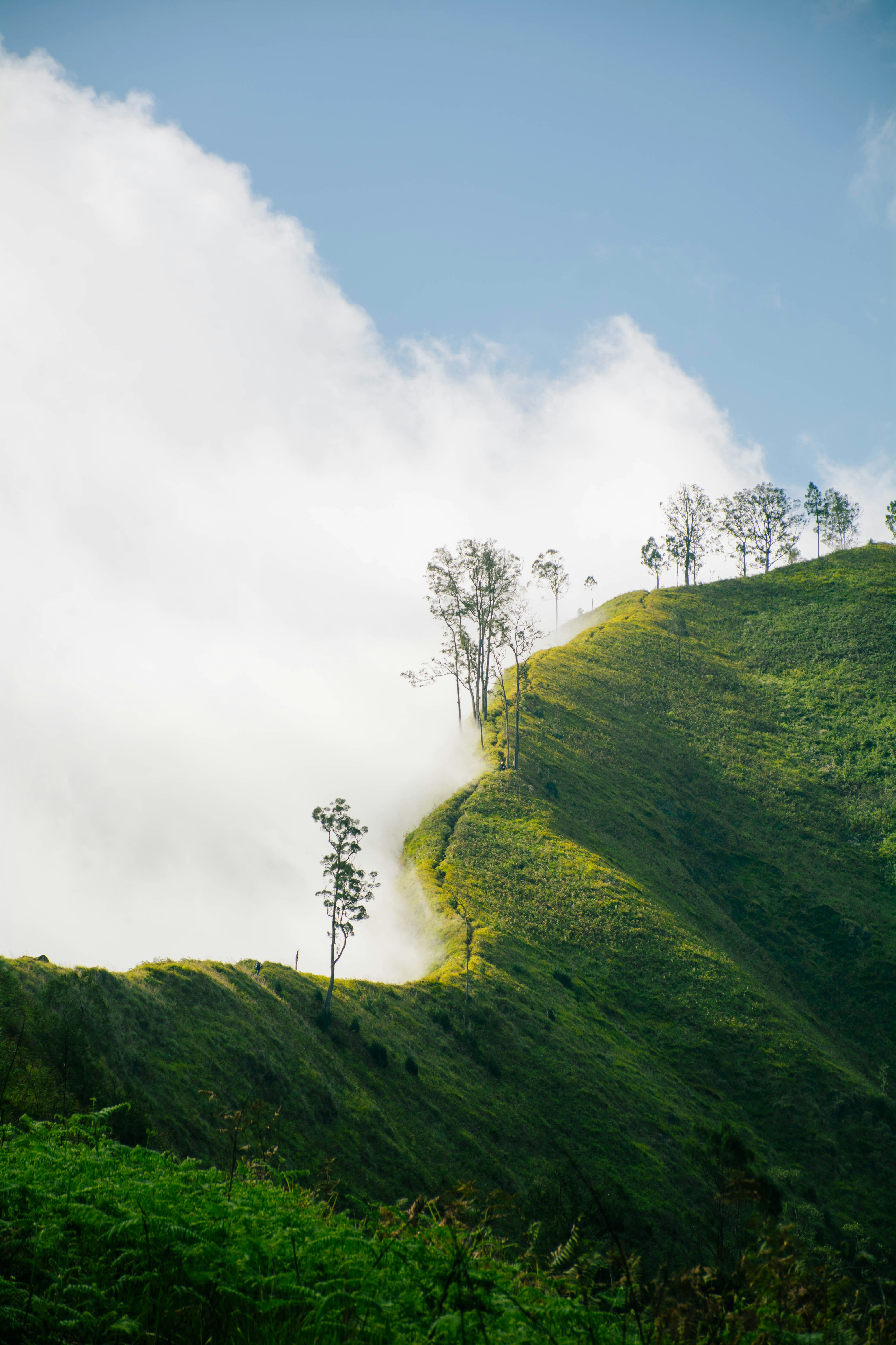 Photo by bradermaulana