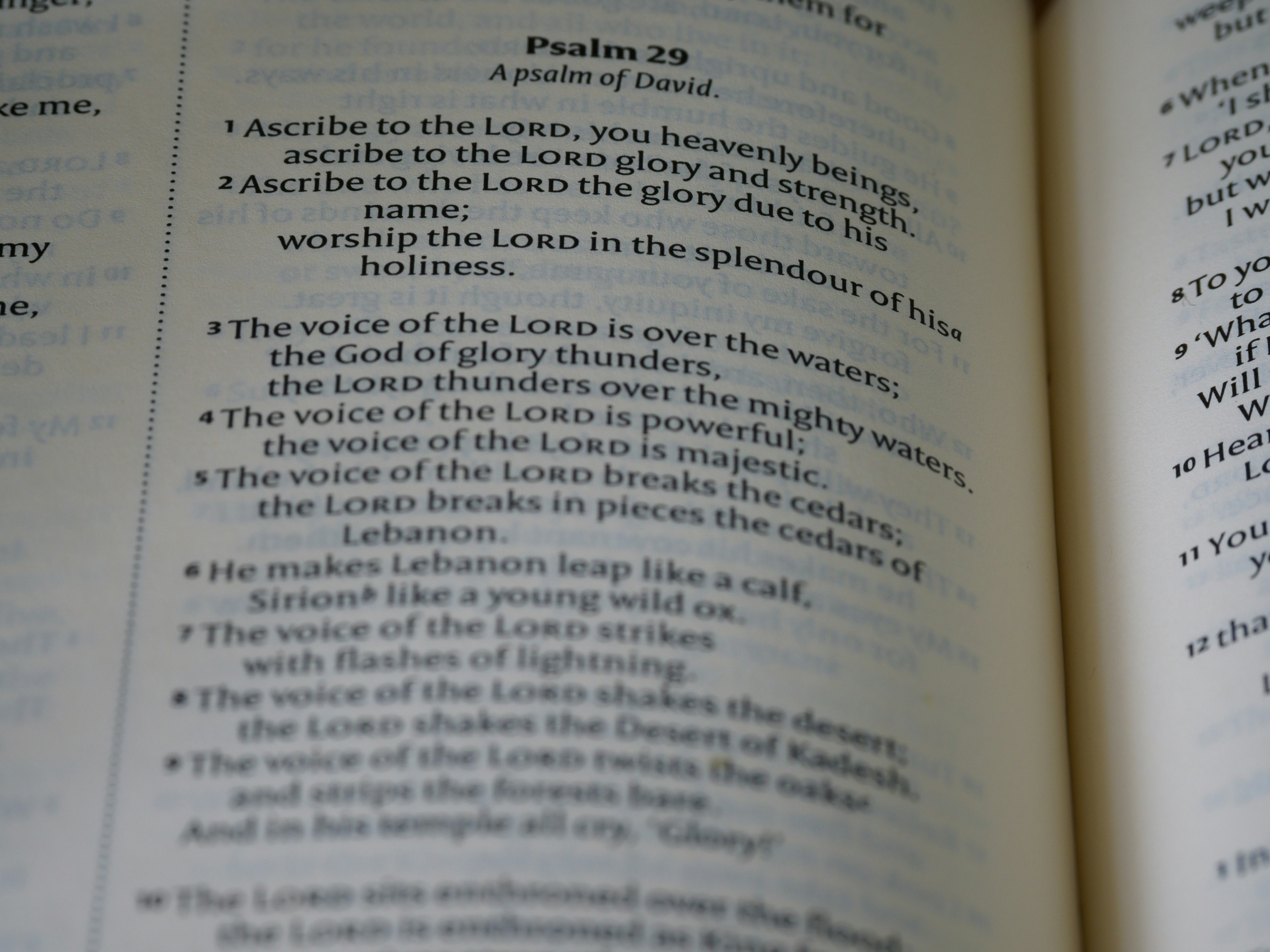 Nahaufnahme eines Buches mit einer geöffneten Seite