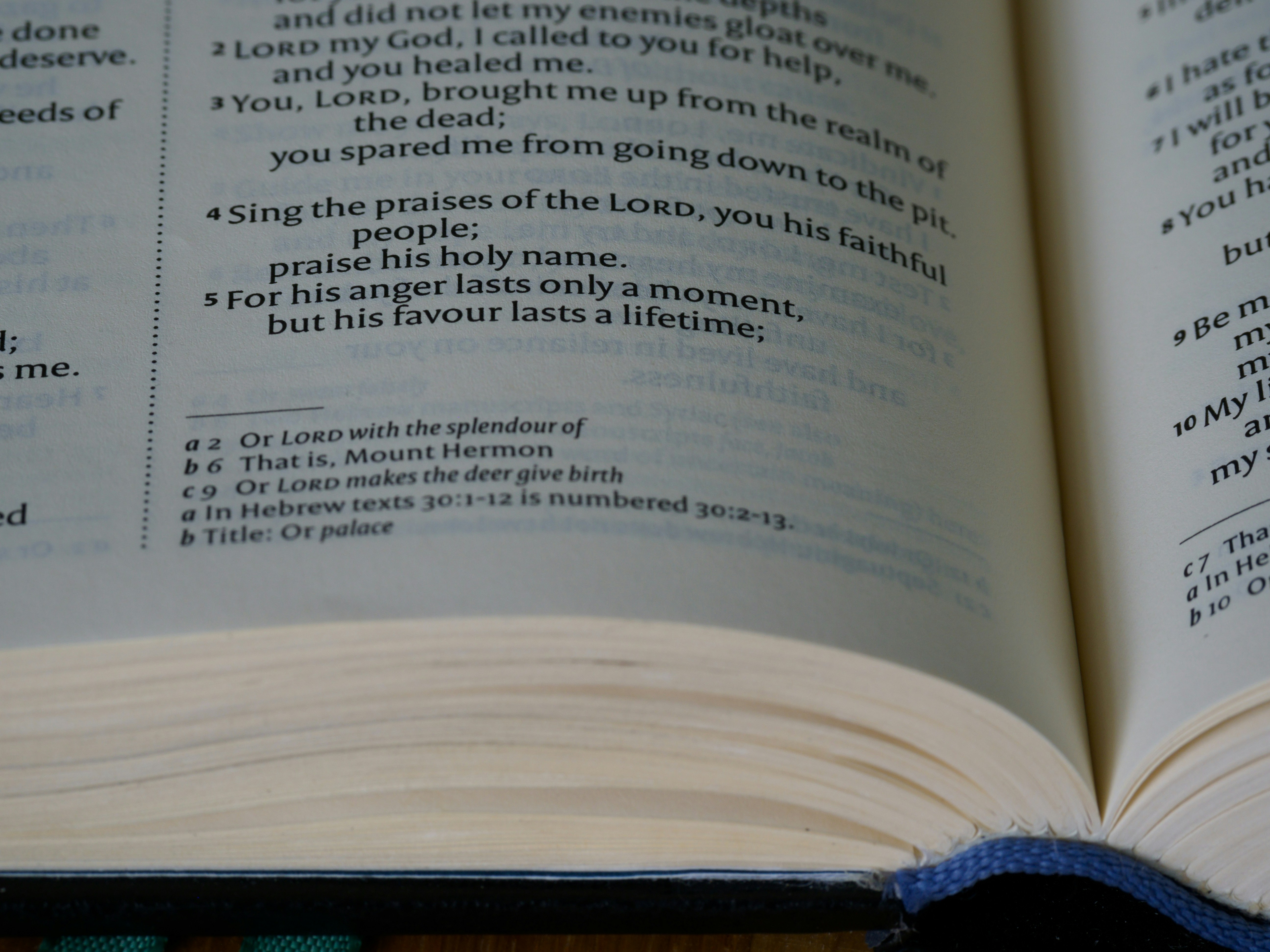 close up, bokeh, macro, blur, blurred background, close focus, bible, old testament, hebrew bible, christian, judaism, history, text, reading, bible study, devotions, text, NIV, New International Version, type, typography, canon, christianity, holy scripture, holy bible, scripture, old testament, hebrew bible, תְּהִלִּים, psalms, psalter, ketuvim, writings, tanakh, king david, <br/>