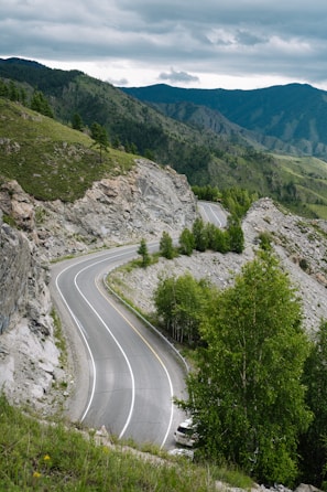 A winding mountain road leading to a lush green sierra landscape.