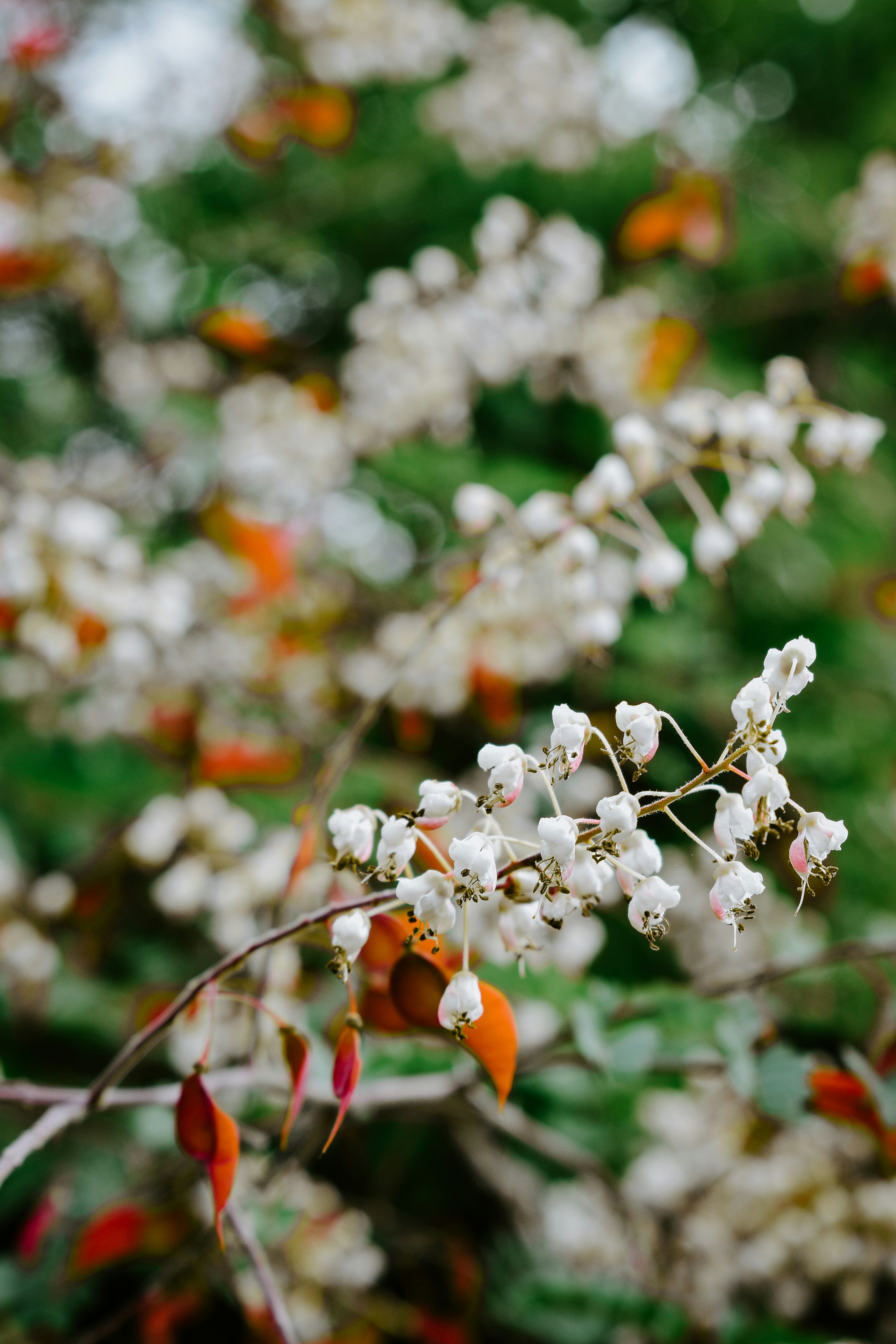 Photo by navi_photography