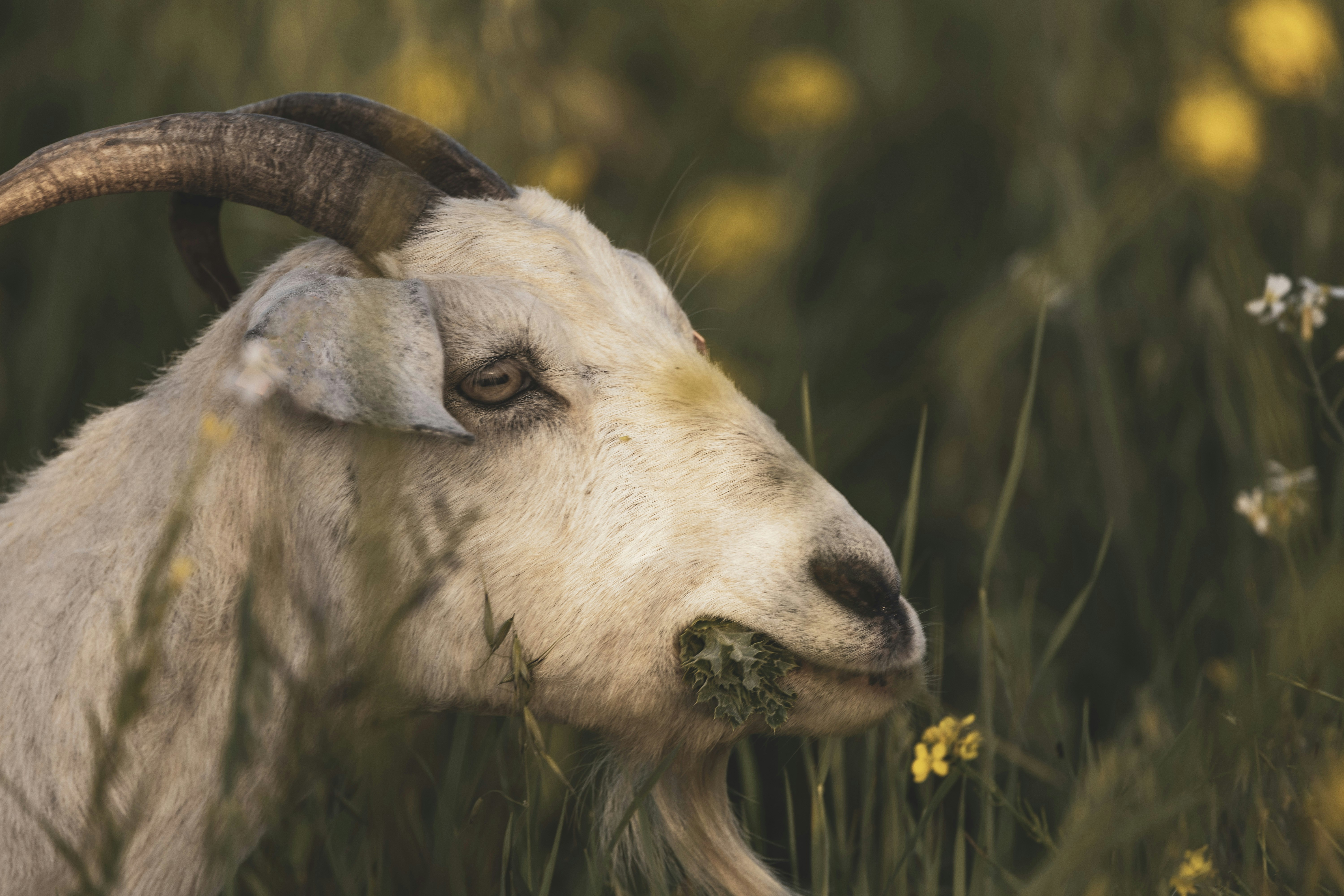 Photo by leo_visions_