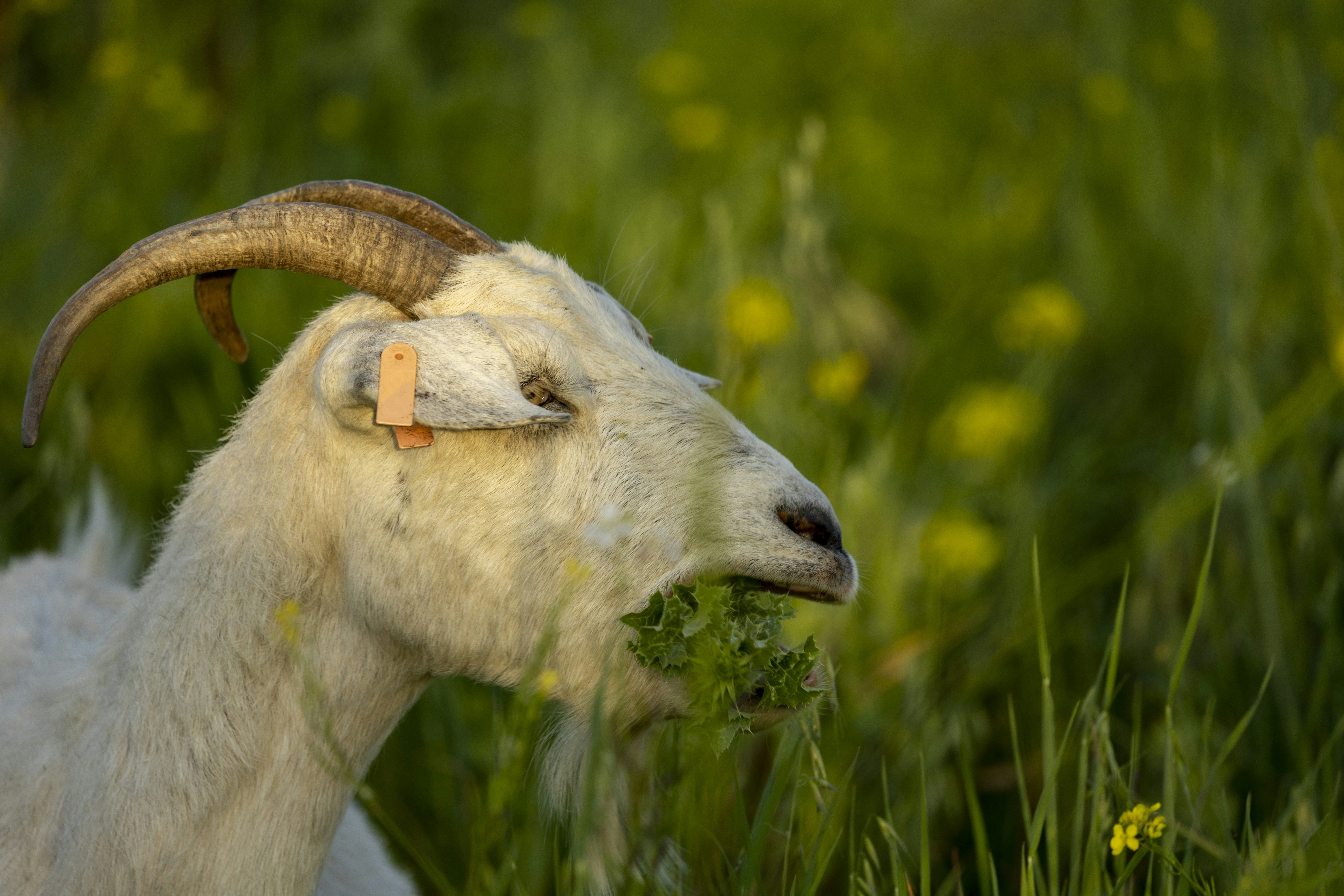 Photo by leo_visions_