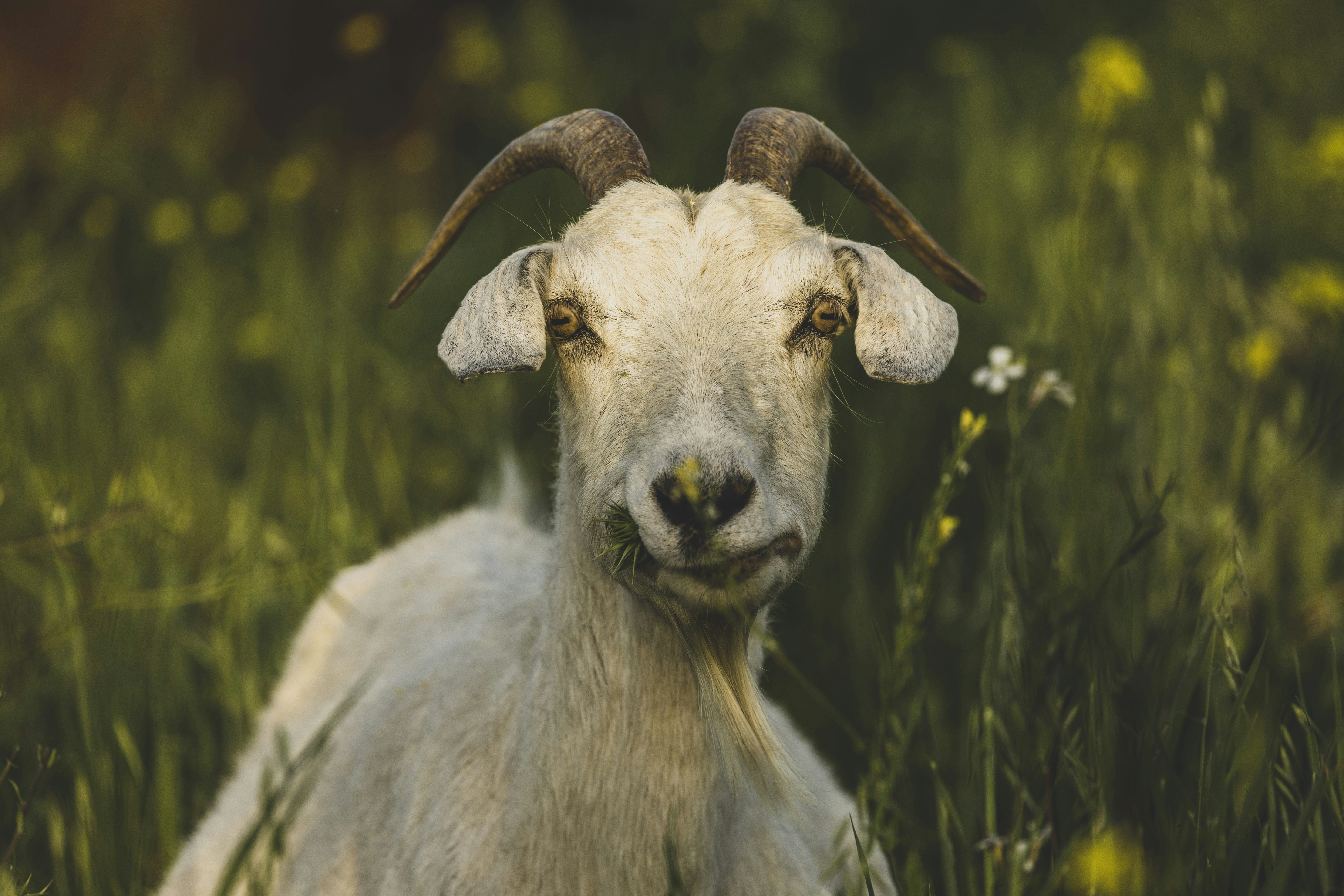 Photo by leo_visions_