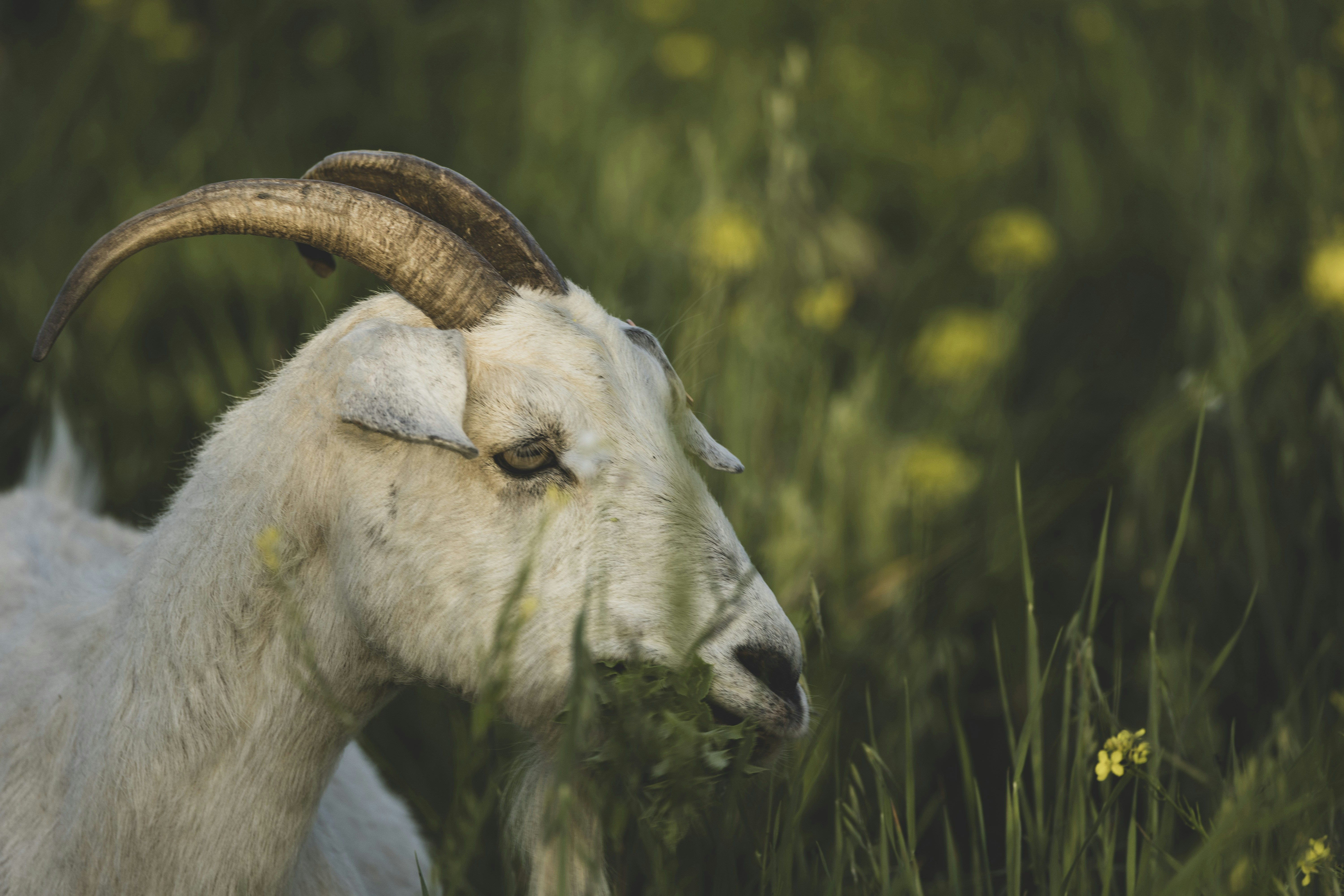 Photo by leo_visions_