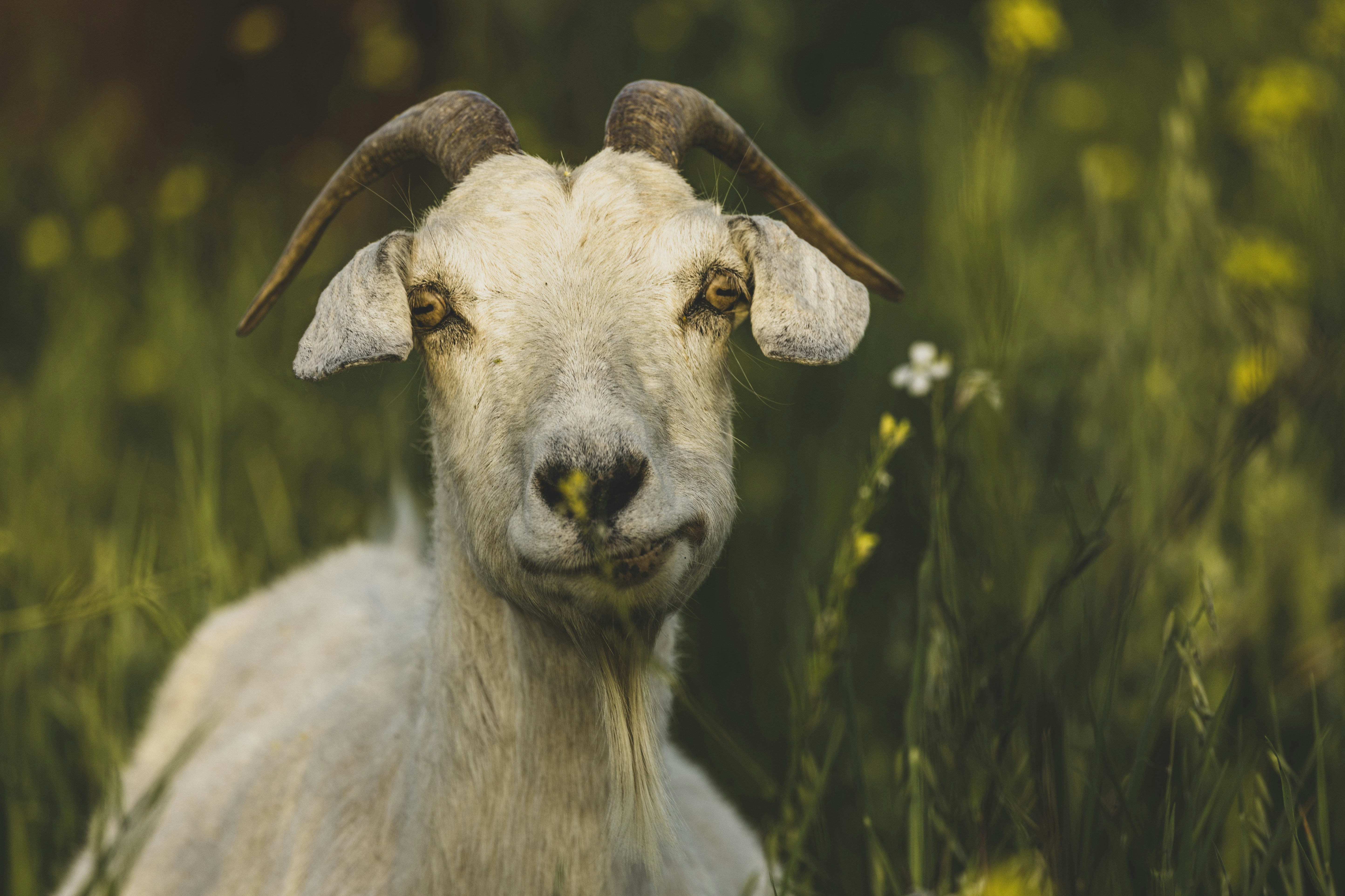 Photo by leo_visions_