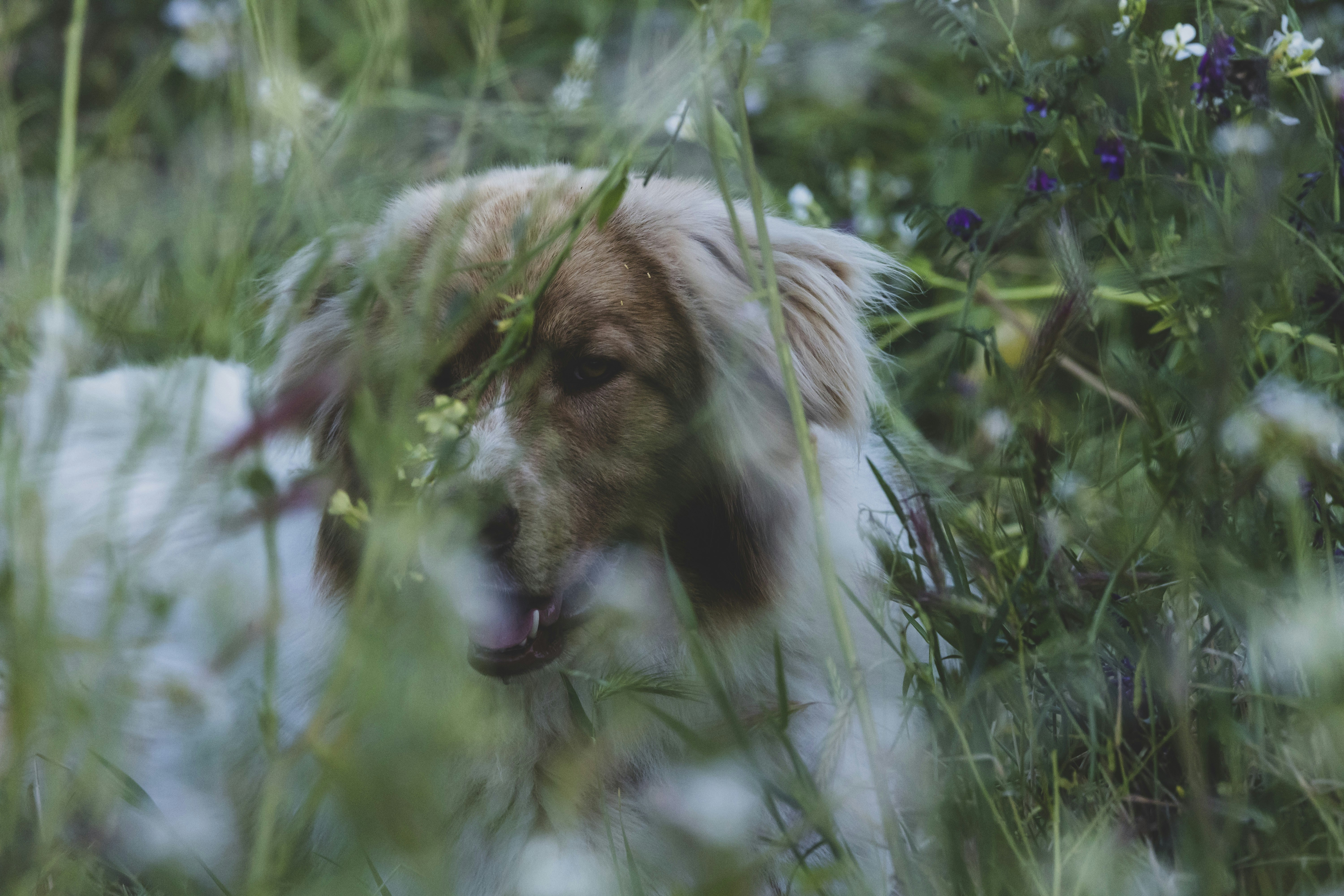 Photo by leo_visions_