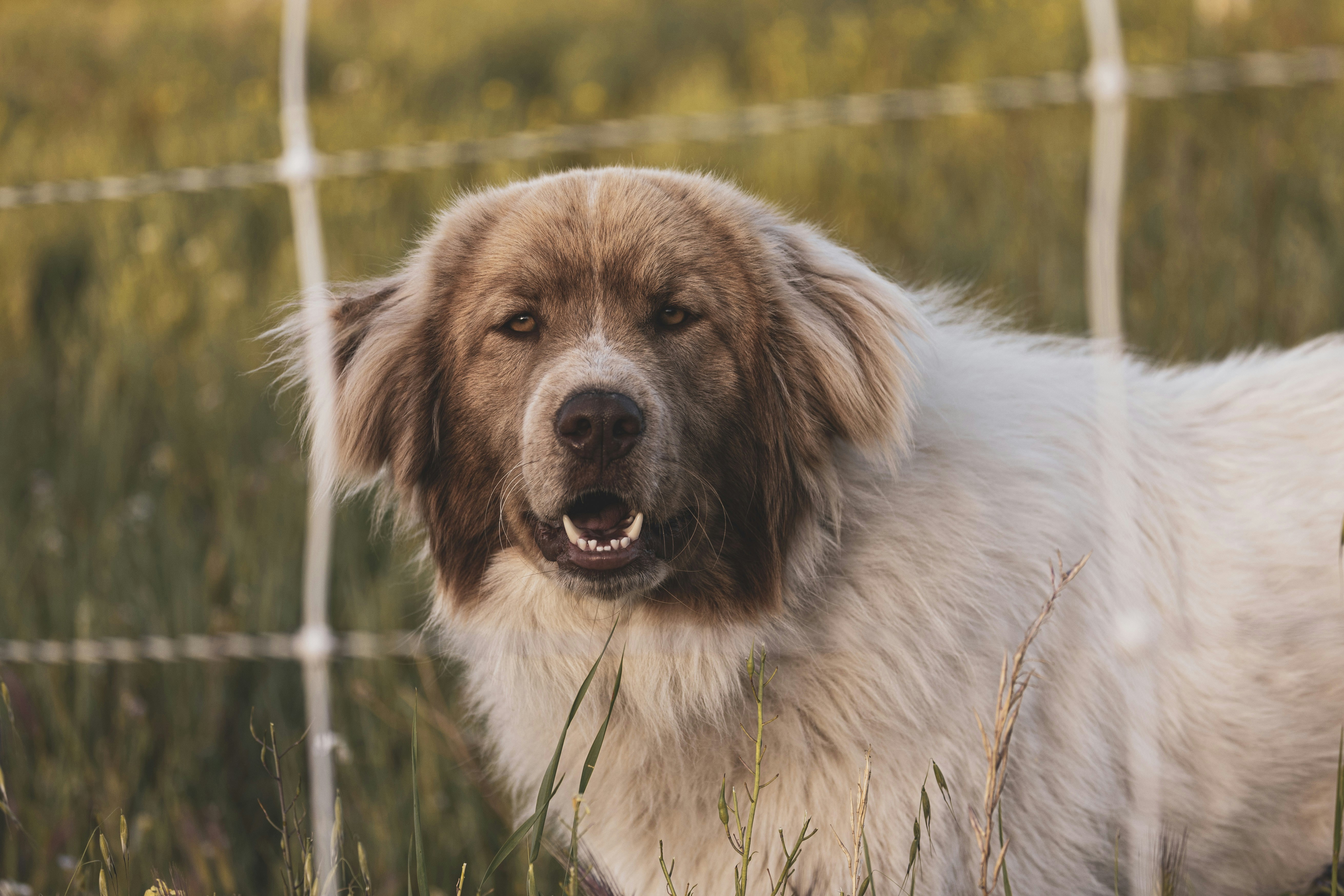 Photo by leo_visions_