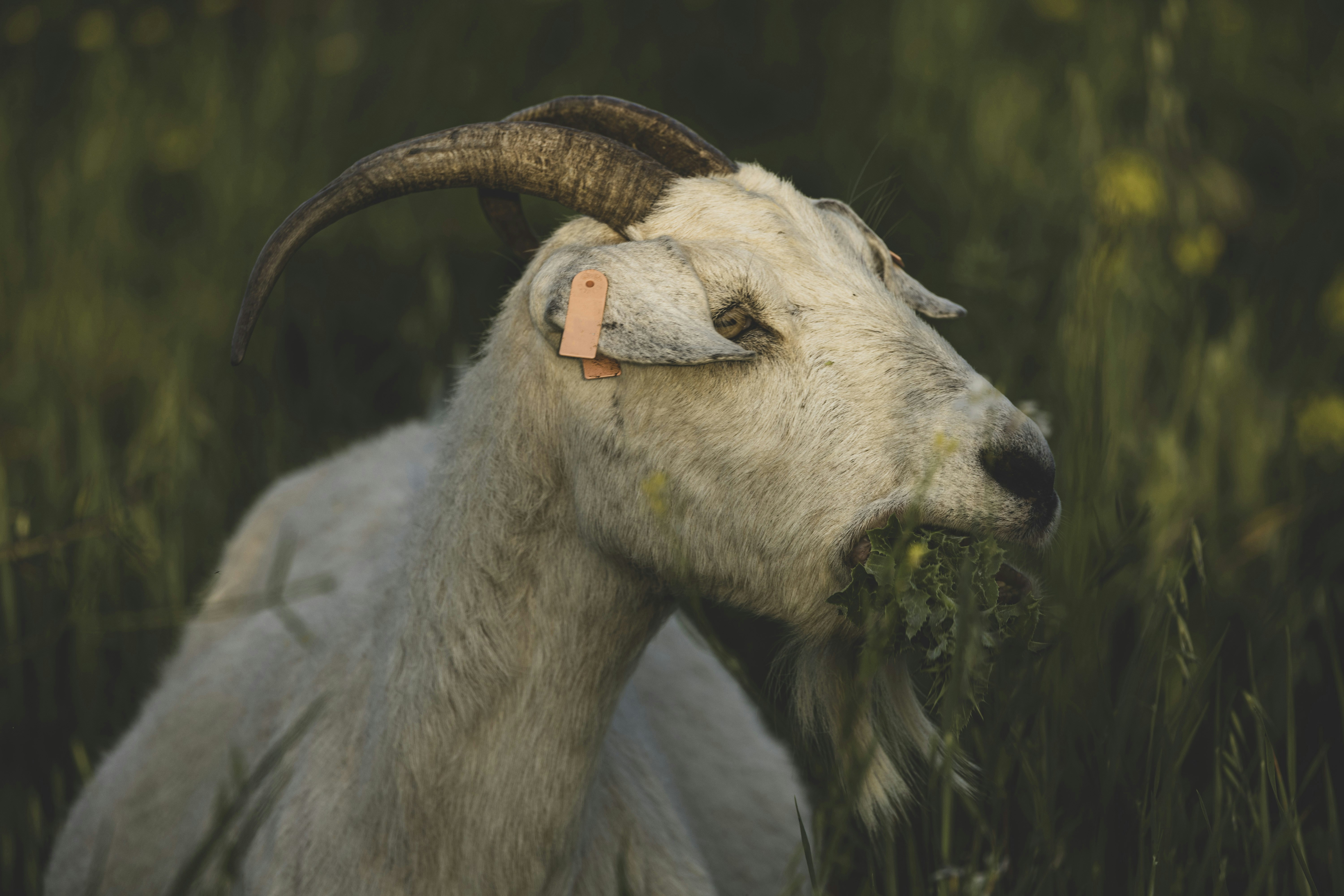 Photo by leo_visions_