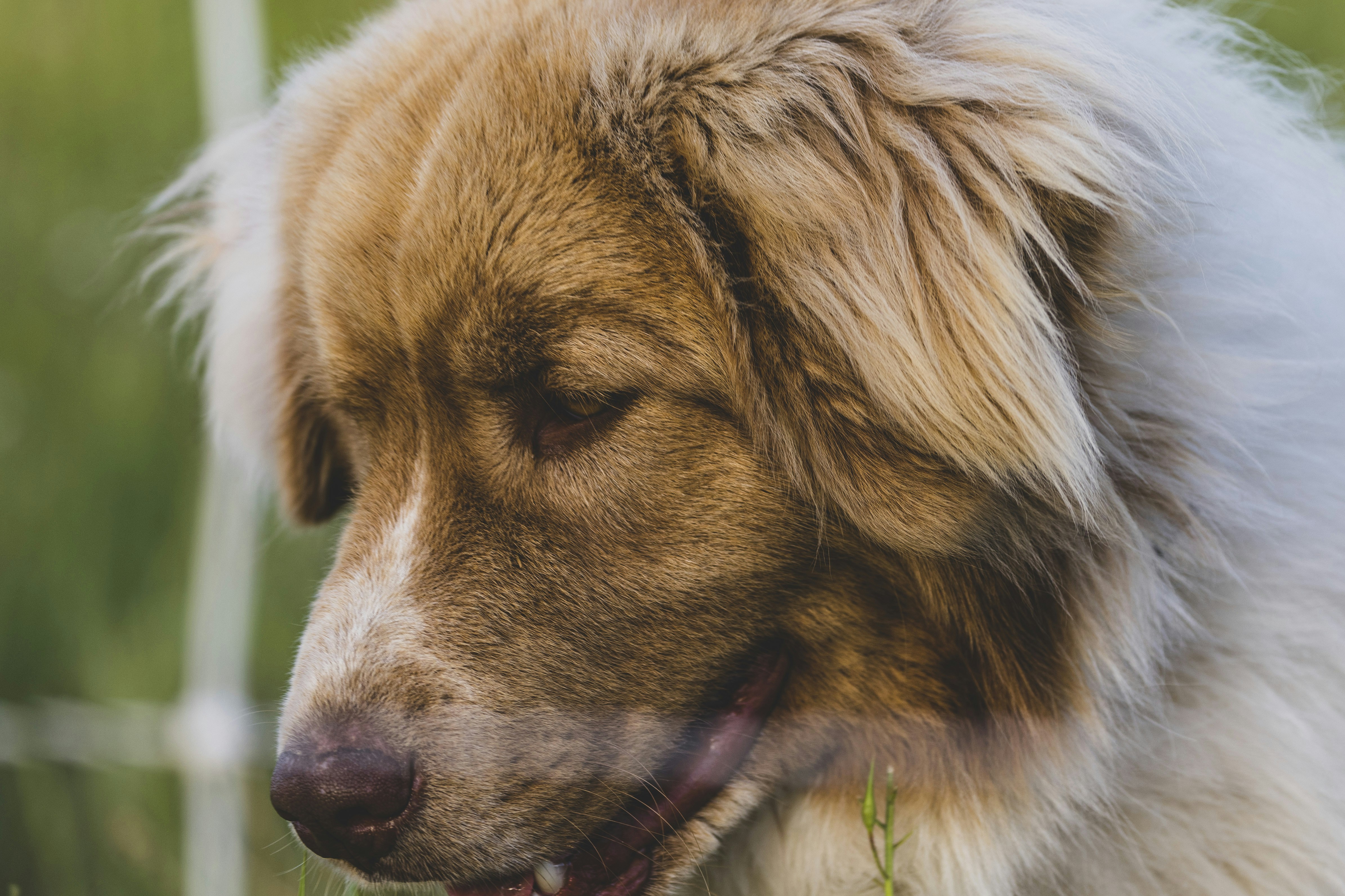 Photo by leo_visions_