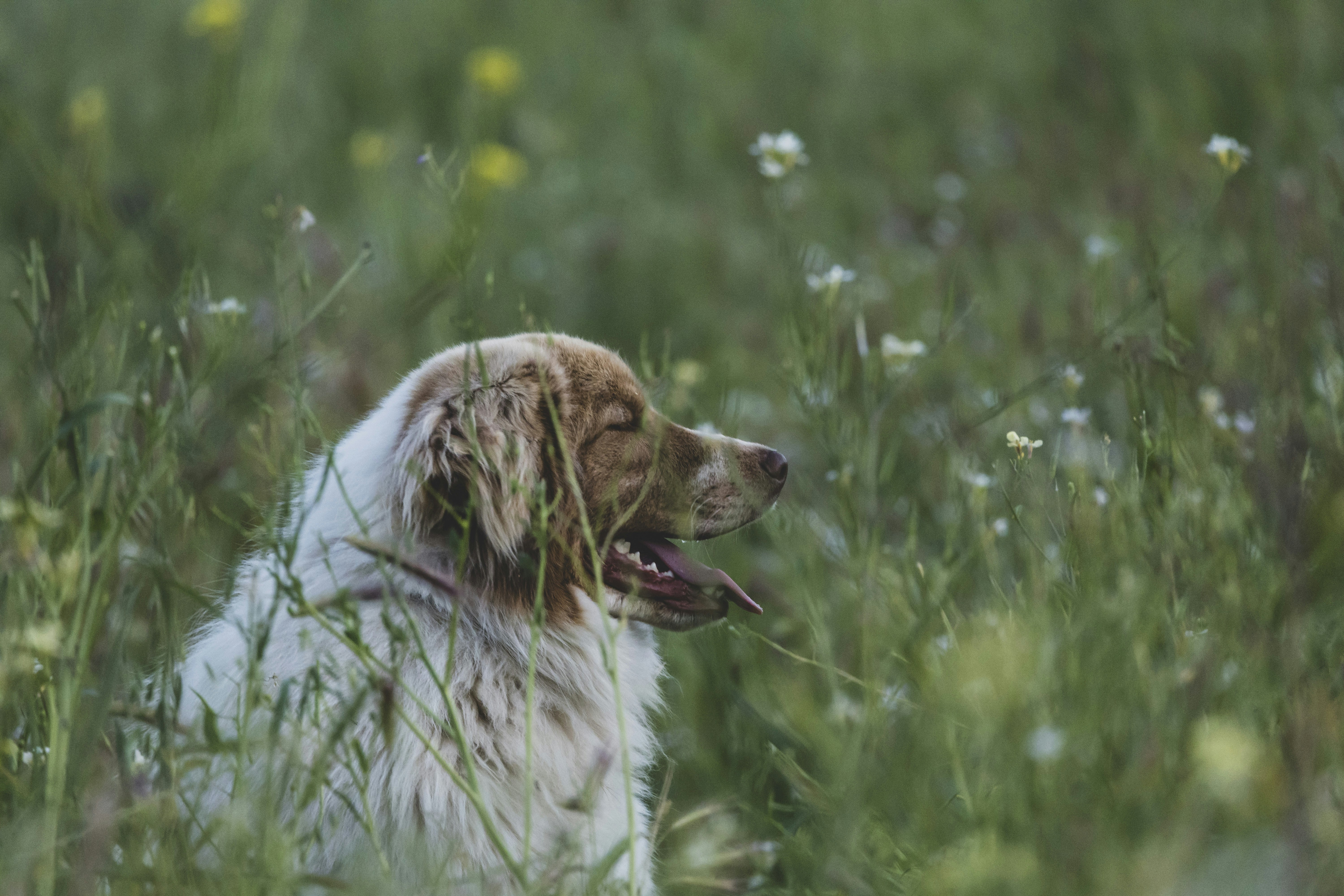 Photo by leo_visions_