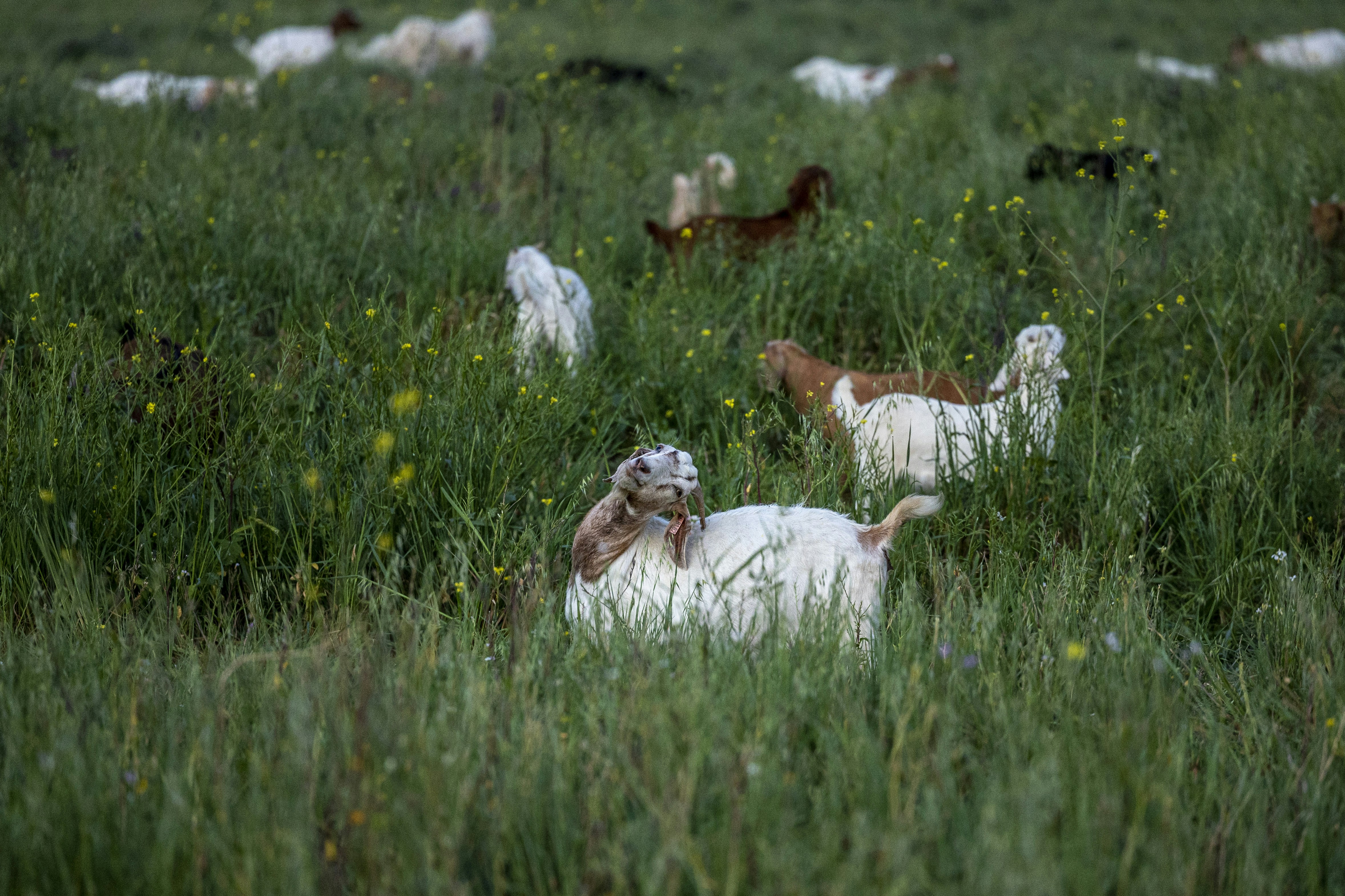 Photo by leo_visions_