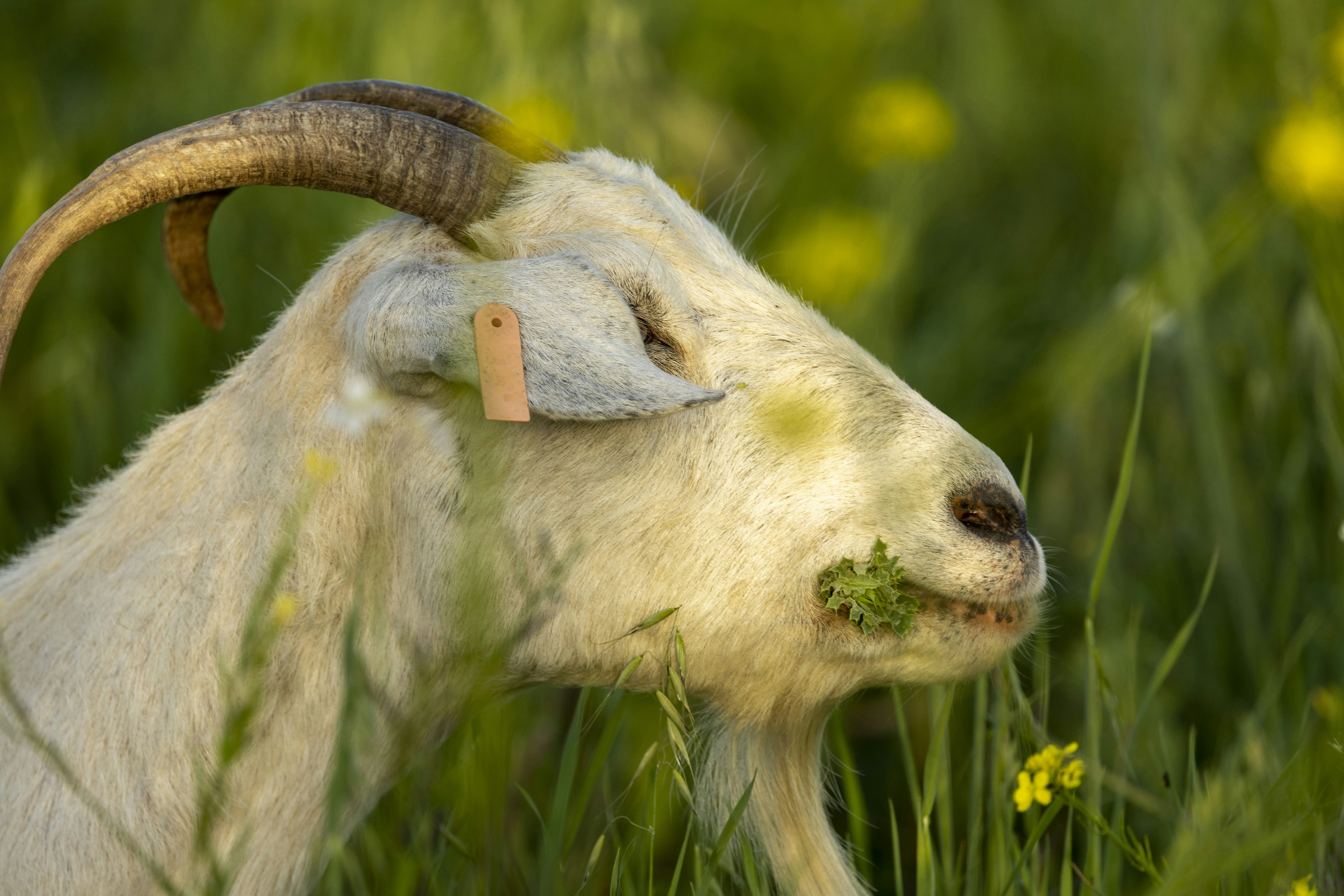 Photo by leo_visions_