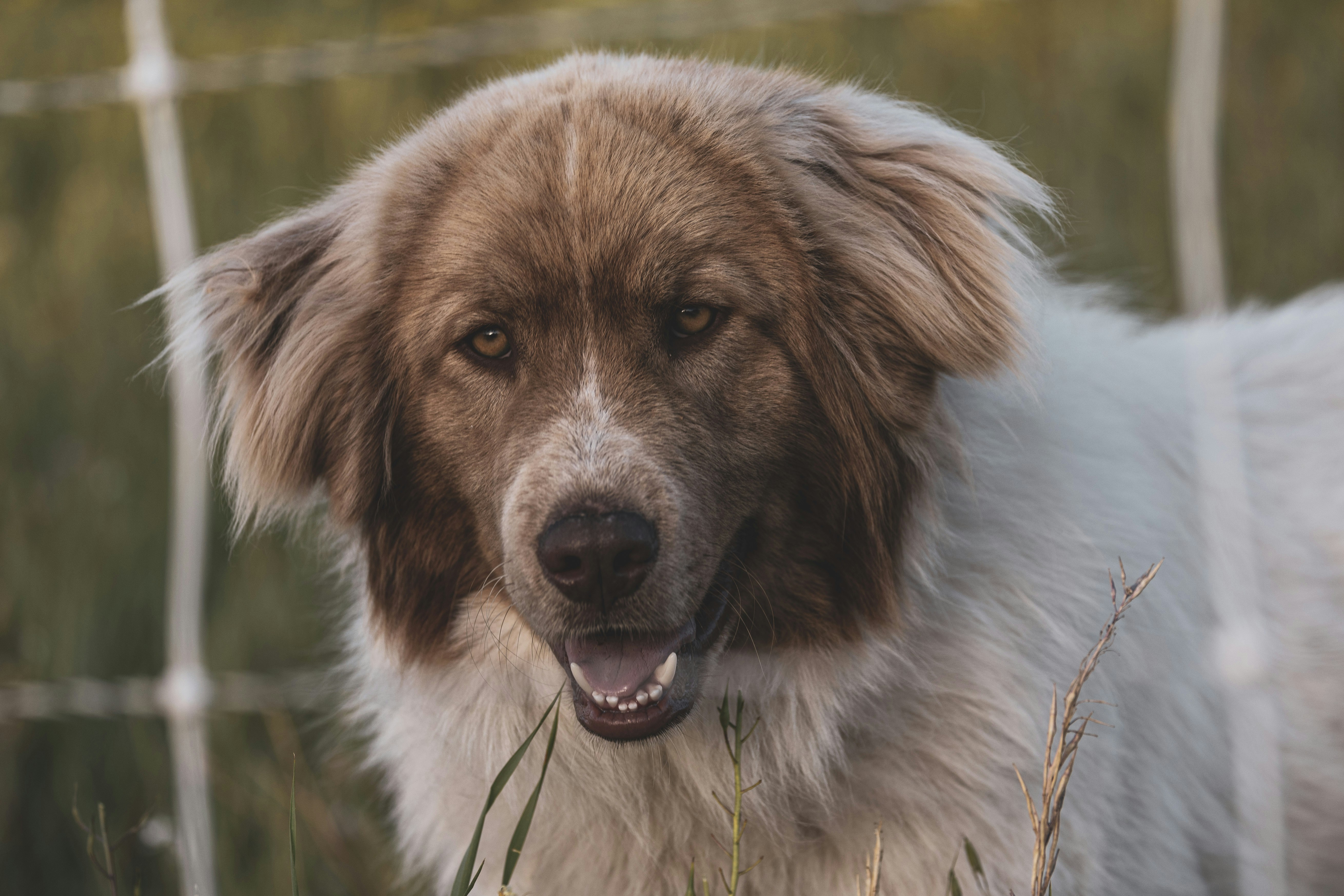 Photo by leo_visions_