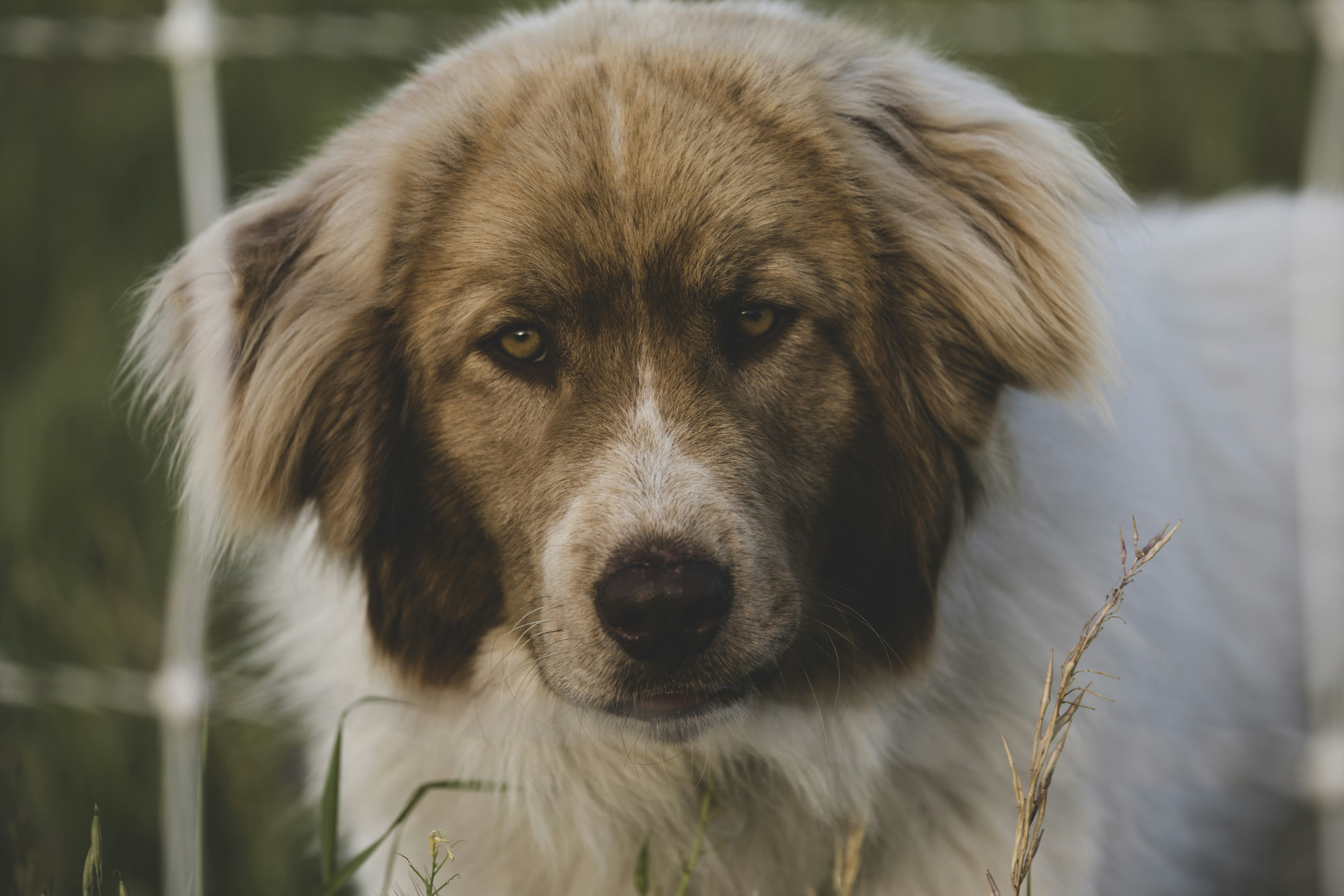 Photo by leo_visions_