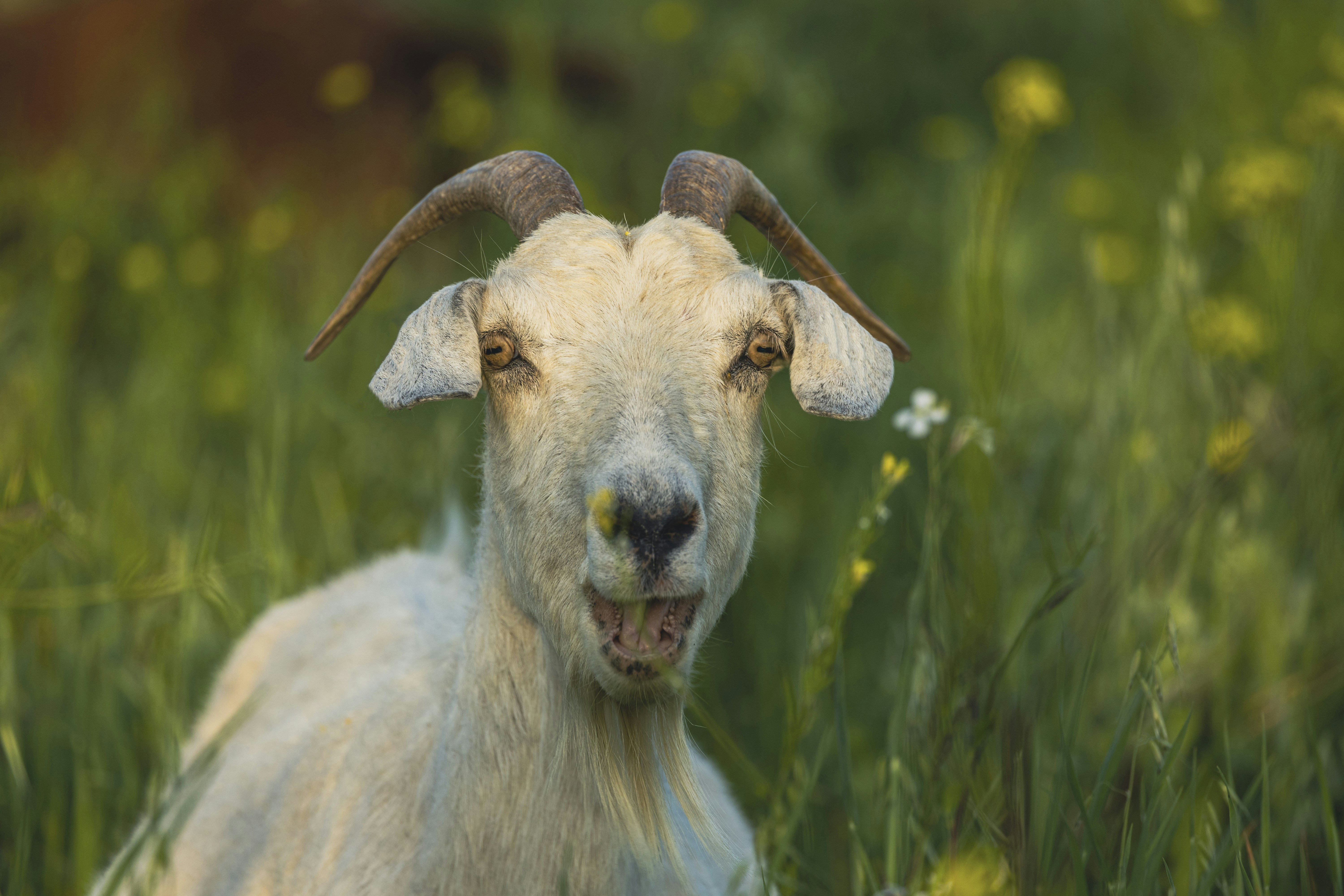 Photo by leo_visions_