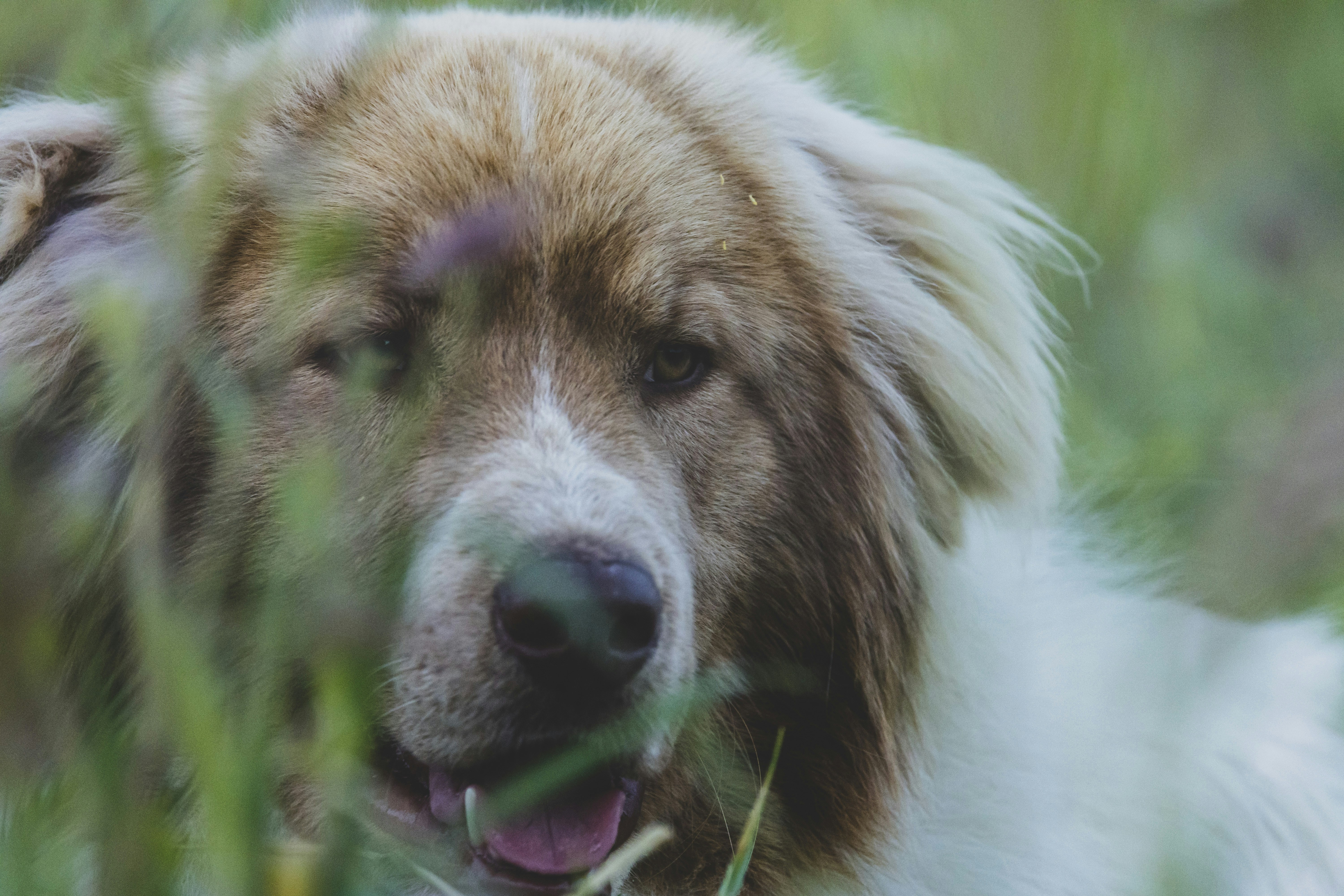 Photo by leo_visions_