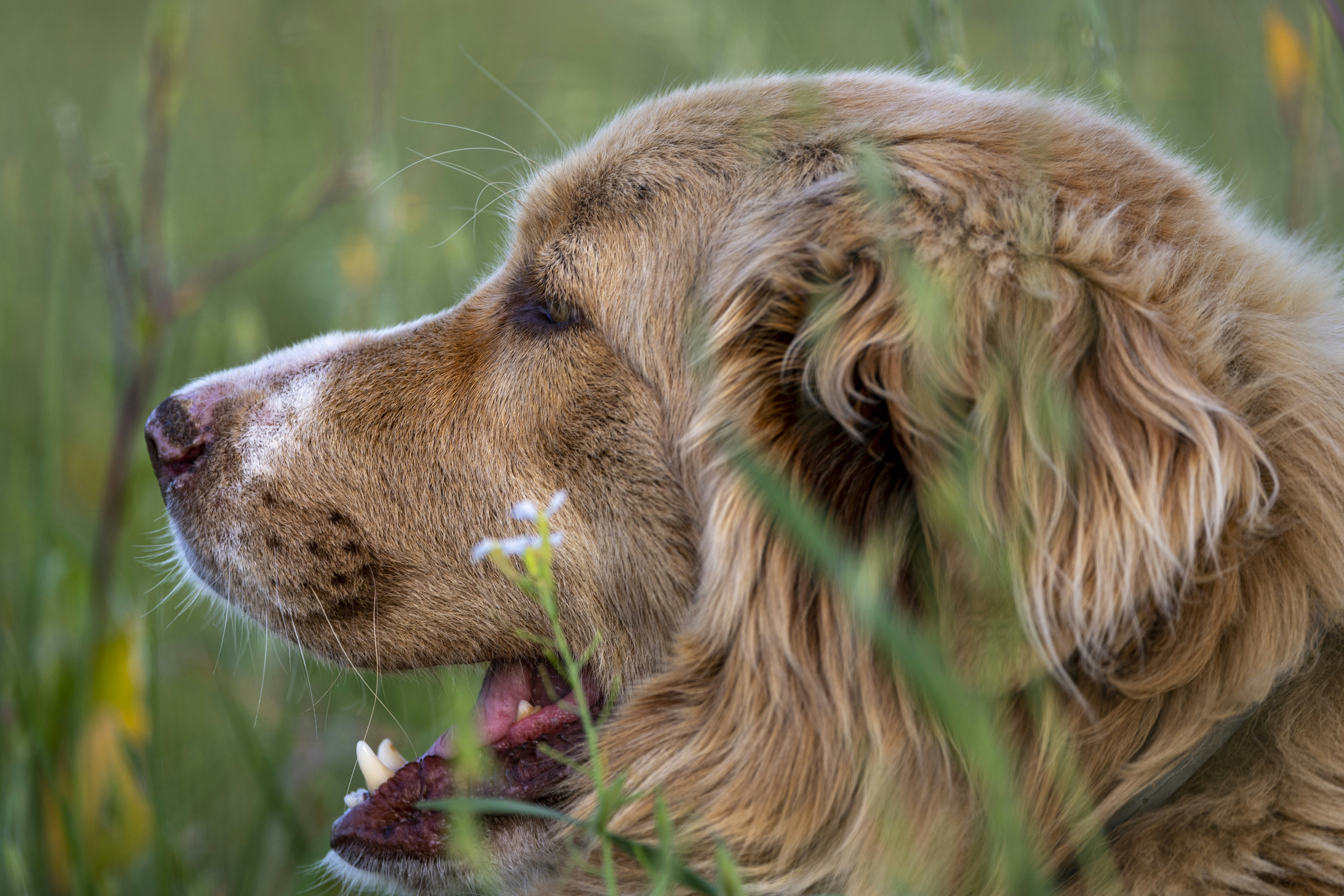 Photo by leo_visions_