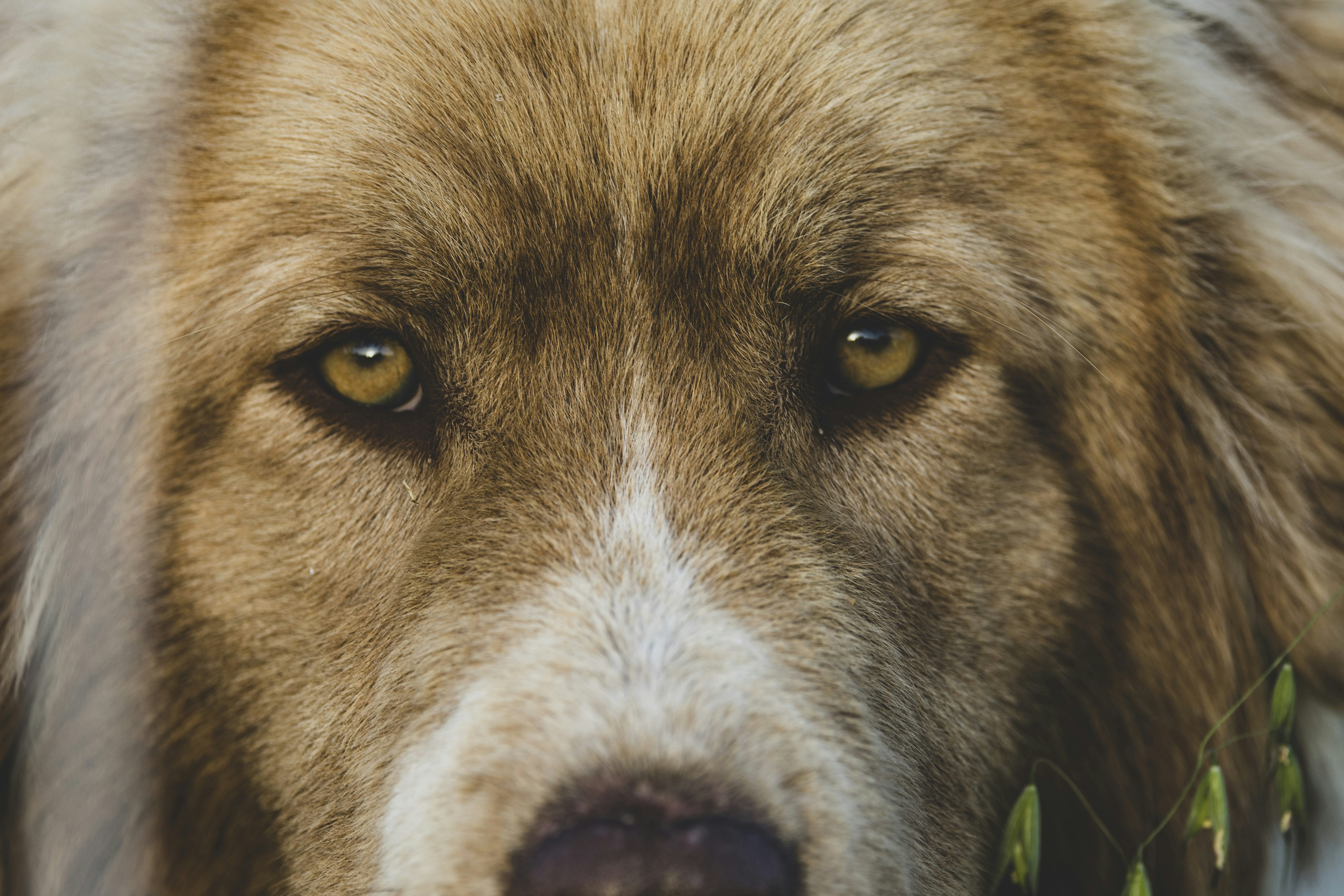 Photo by leo_visions_