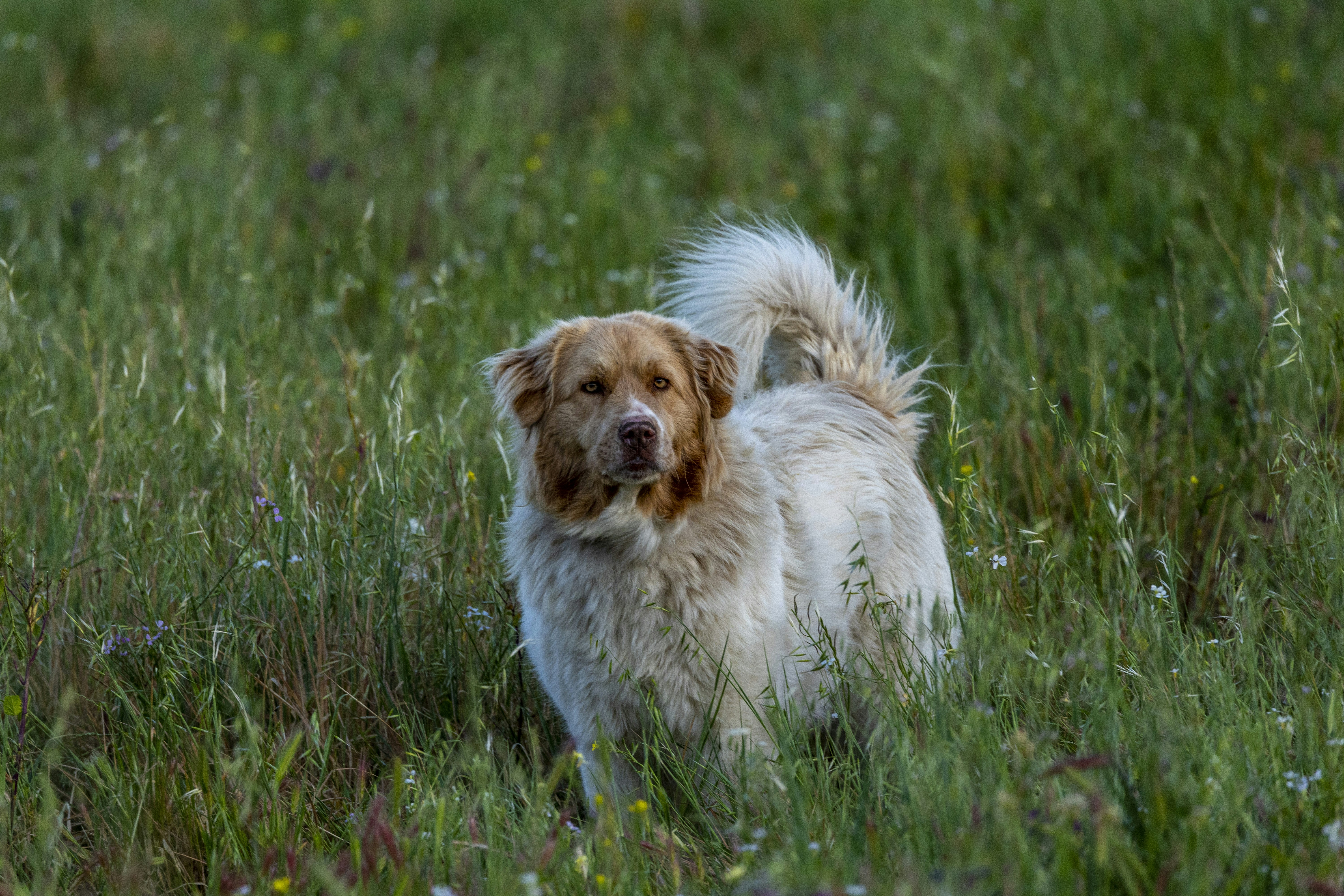 Photo by leo_visions_