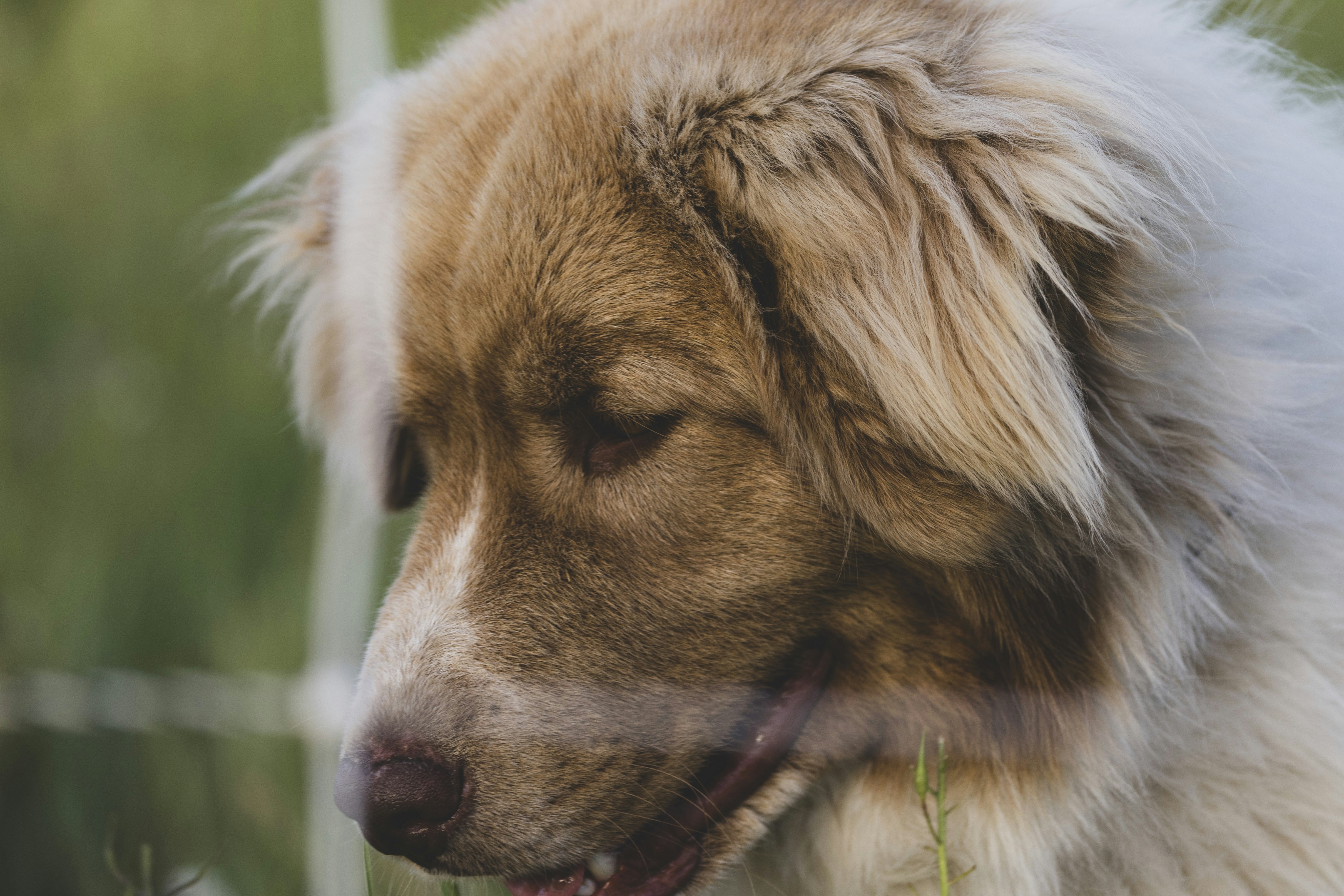 Photo by leo_visions_