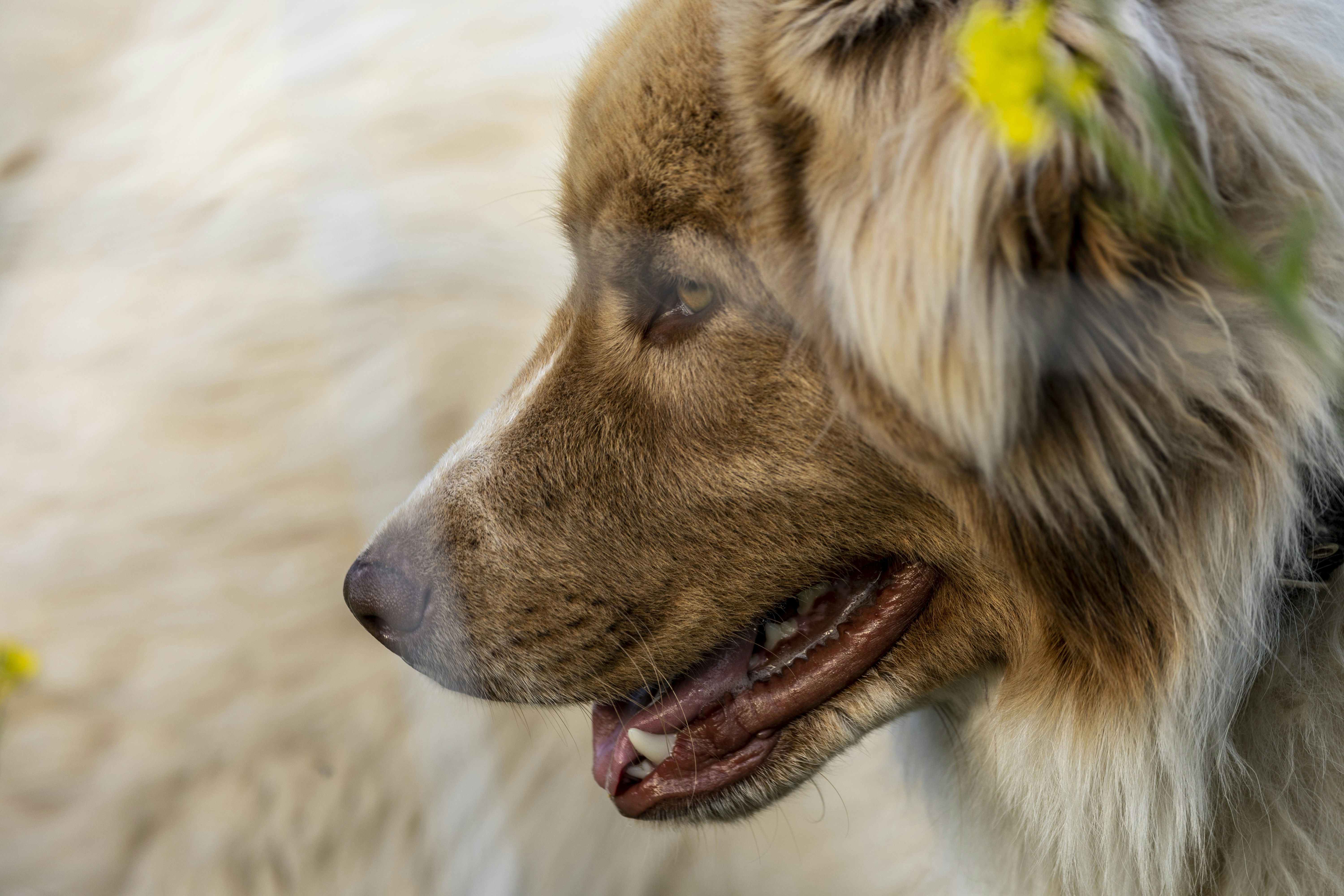 Photo by leo_visions_