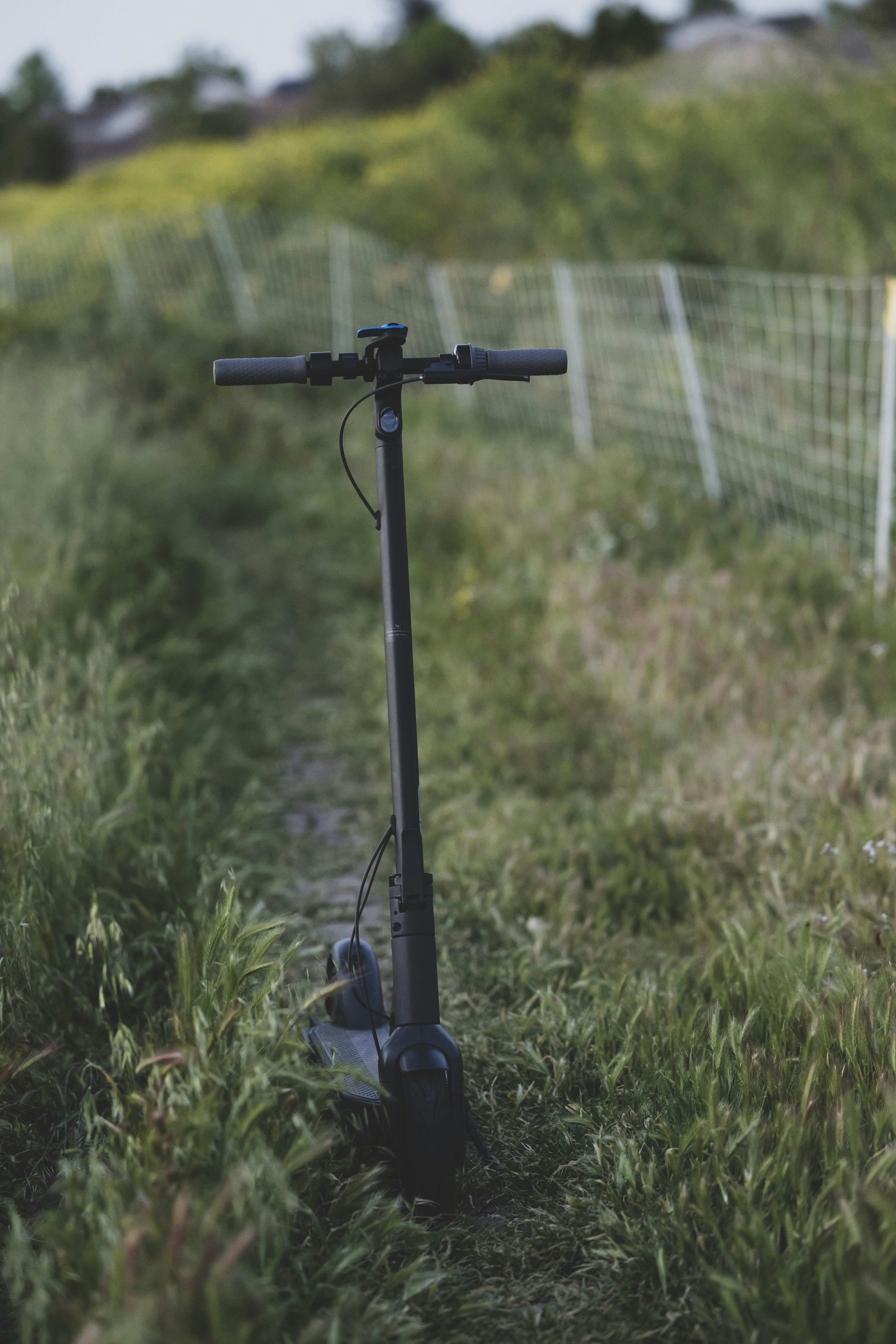 Photo by leo_visions_