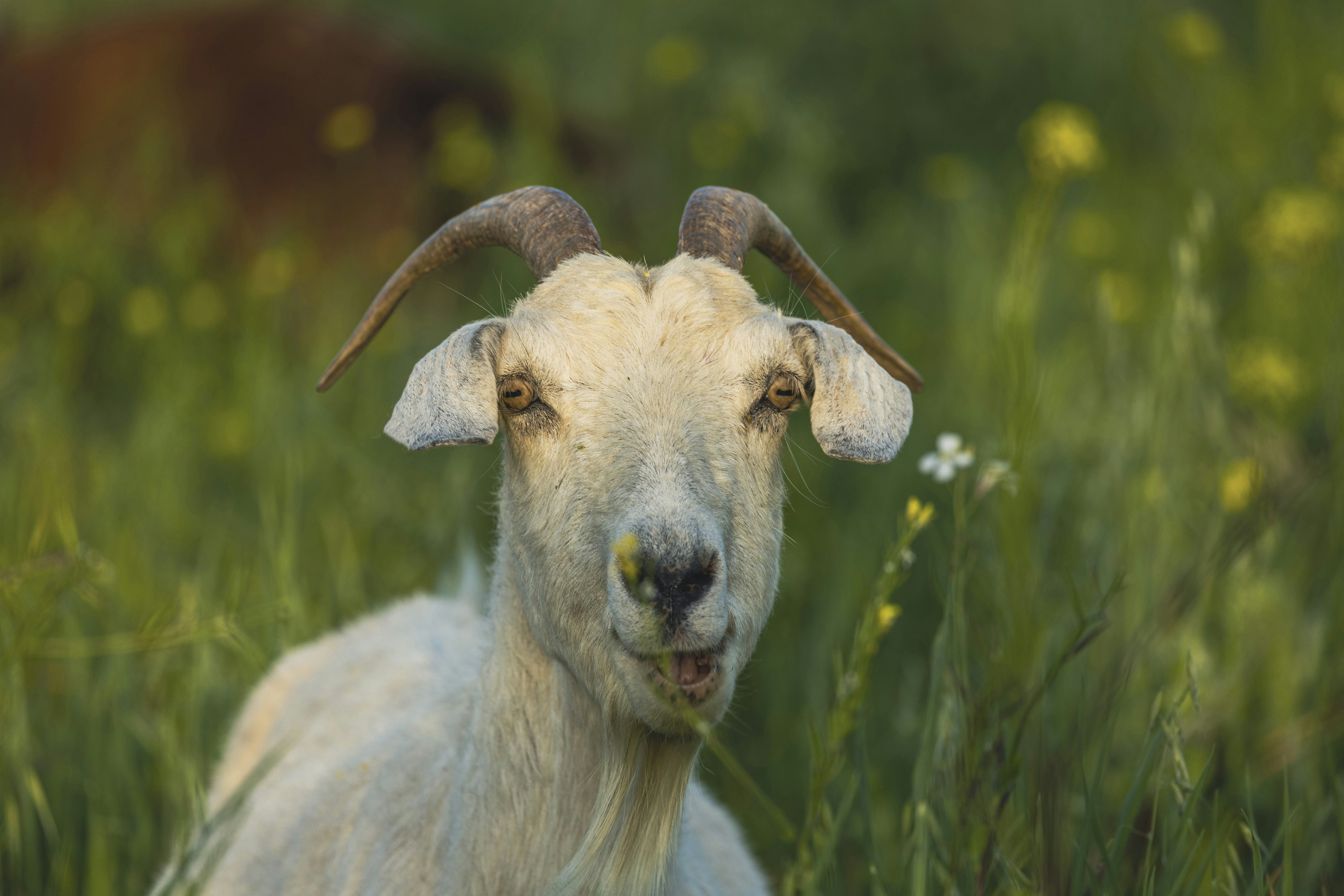 Photo by leo_visions_