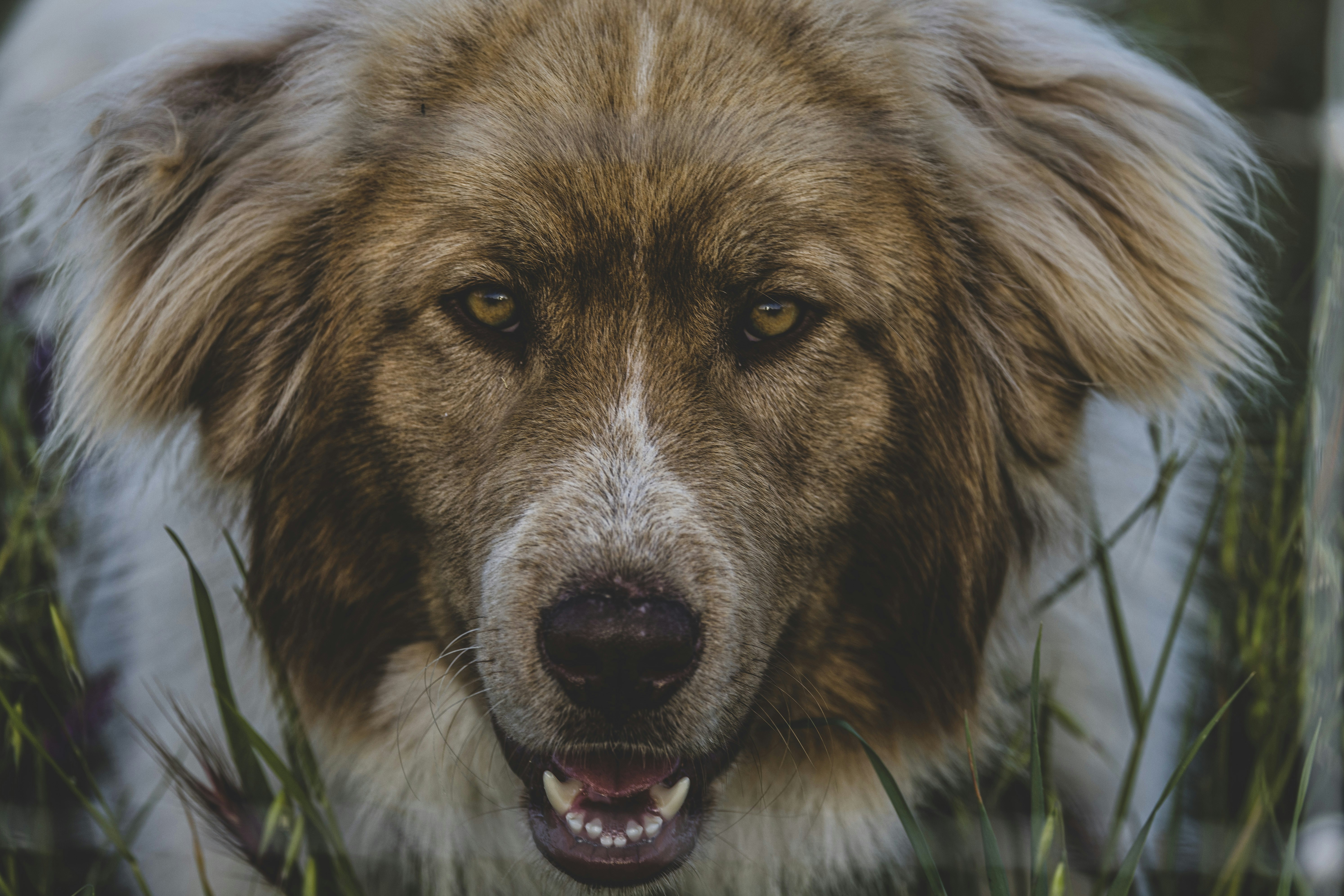 Photo by leo_visions_