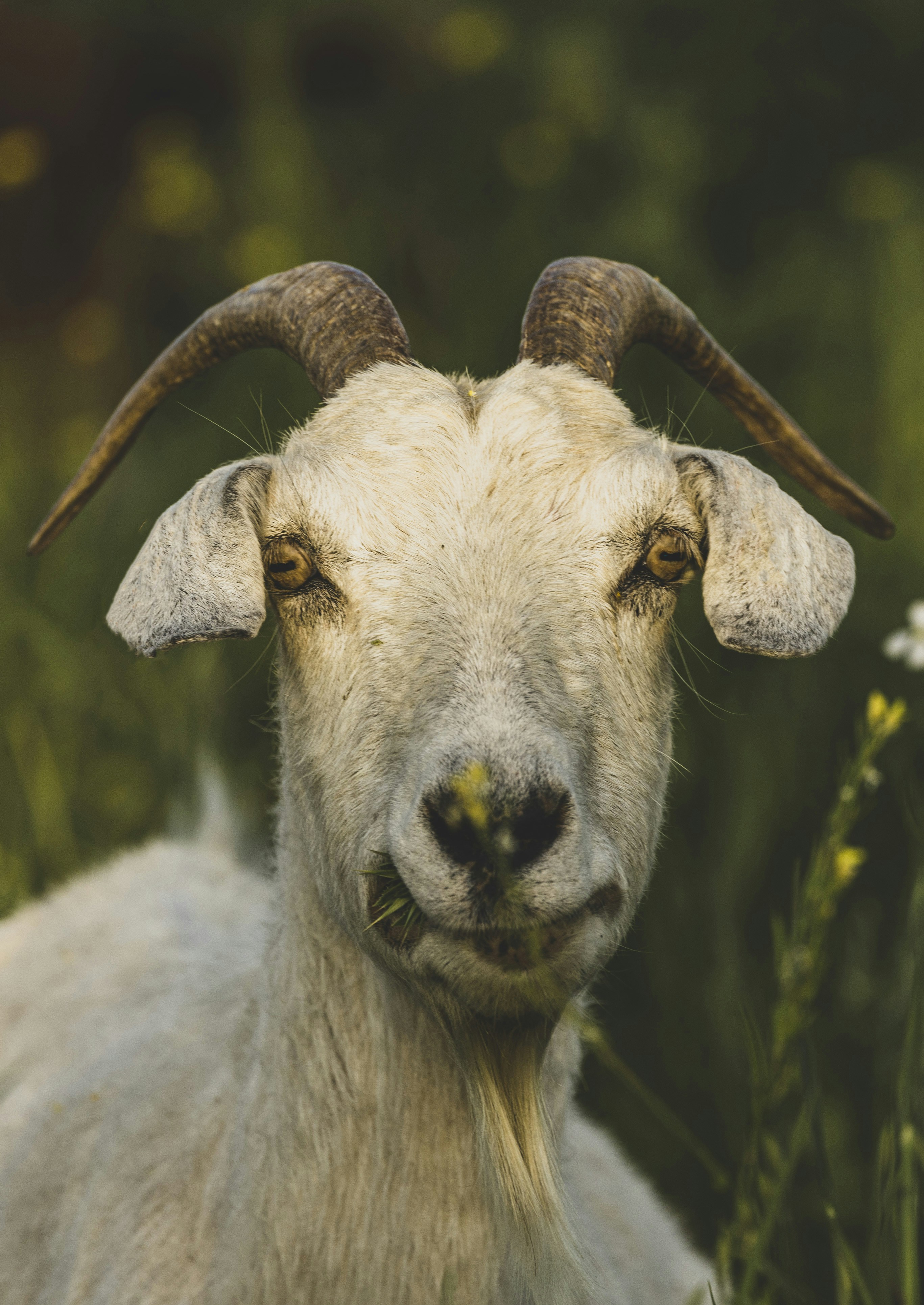 Photo by leo_visions_