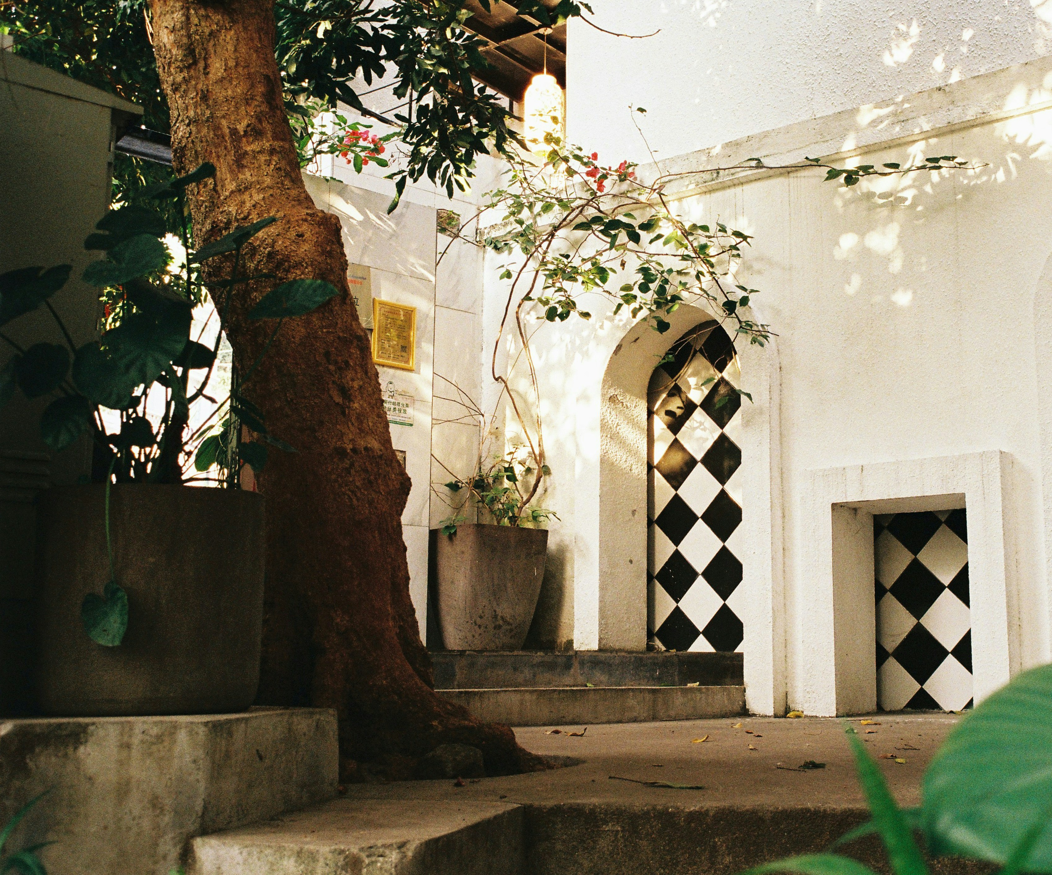 Photo by geraltyichen