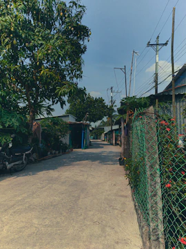 A quiet village street framed by ancient banyan trees and rustic homes