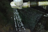 Water droplets spill from a pipe or tap, against a dark, mossy background. The droplets are captured in motion, showcasing their clarity and the dynamics of flowing water.