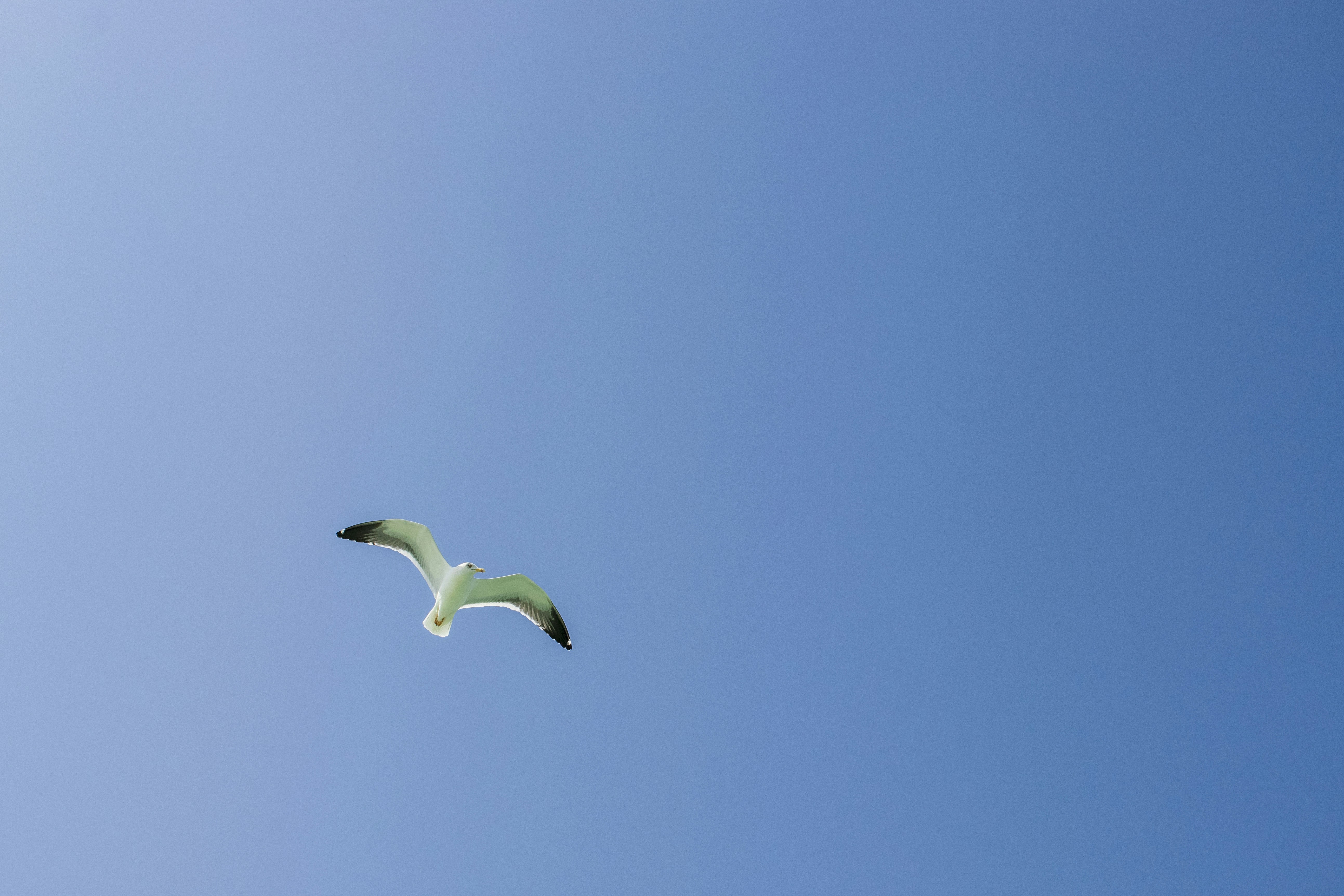 Photo by aliahmadidesign