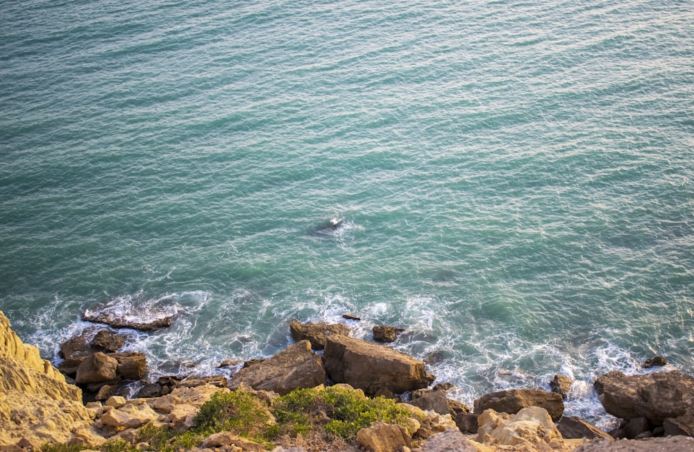 a person swimming in the ocean on a sunny day