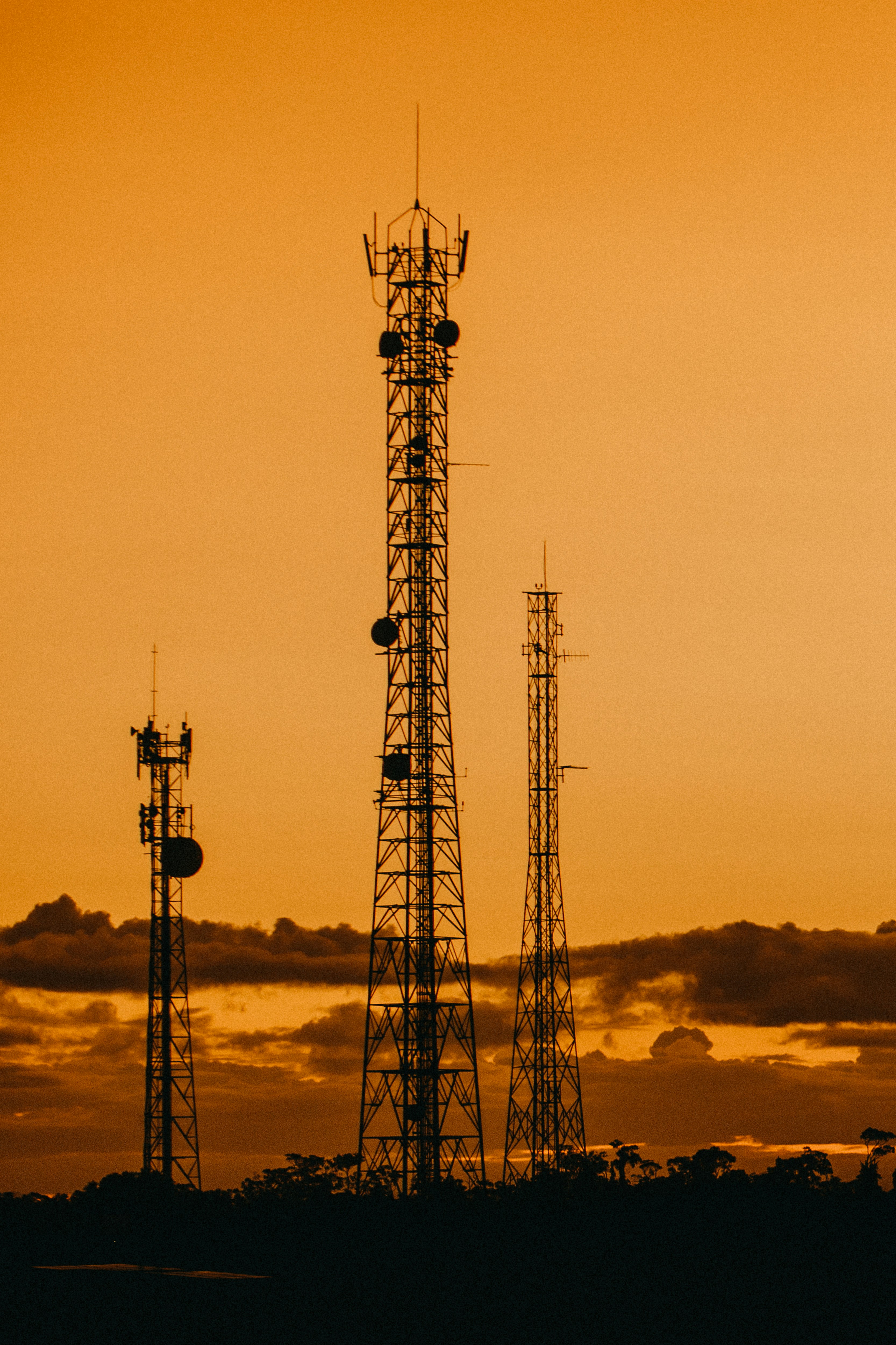 Photo by vitormonthay