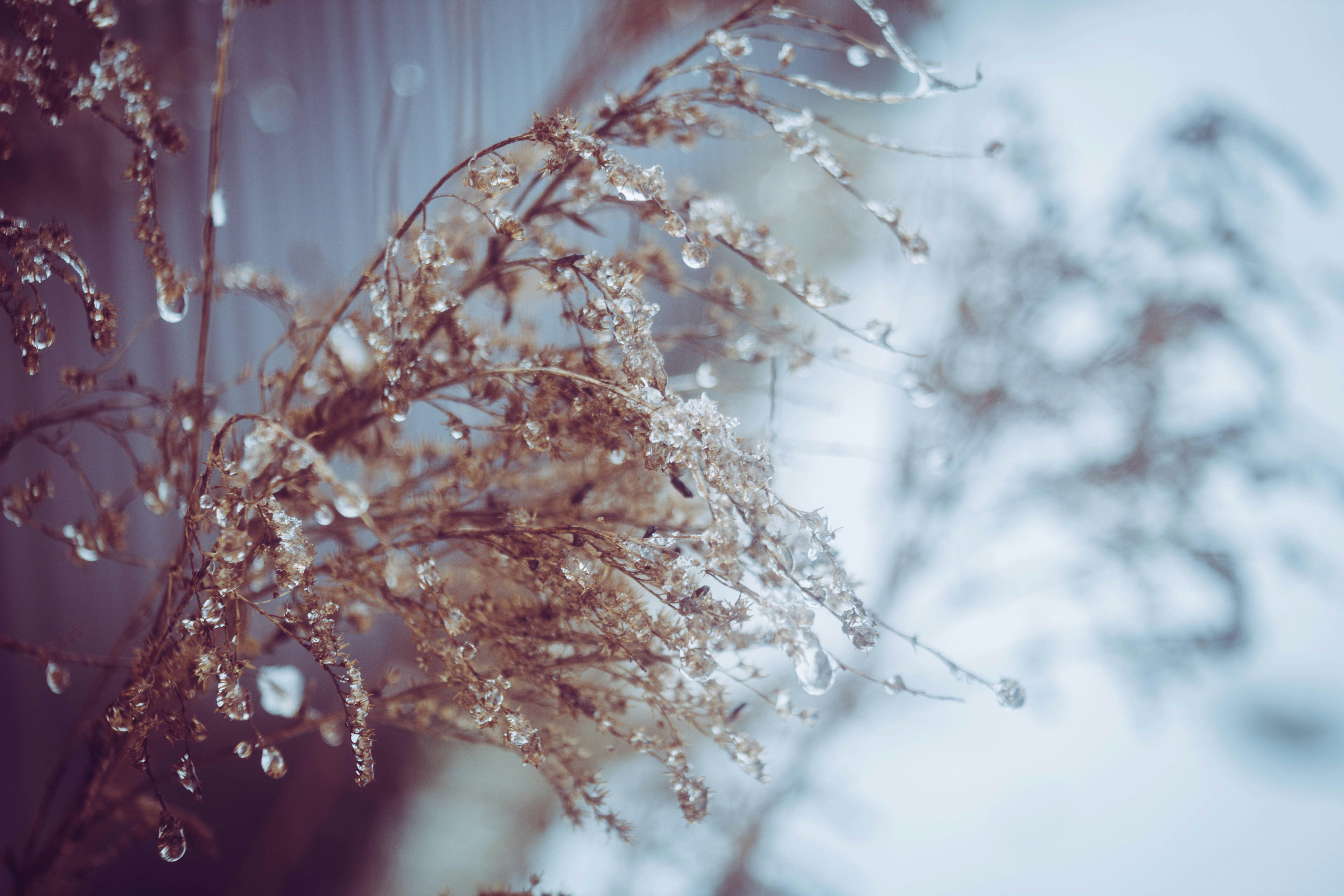 사랑은 봄비처럼 이별은 겨울비처럼 가사 정보 이미지2