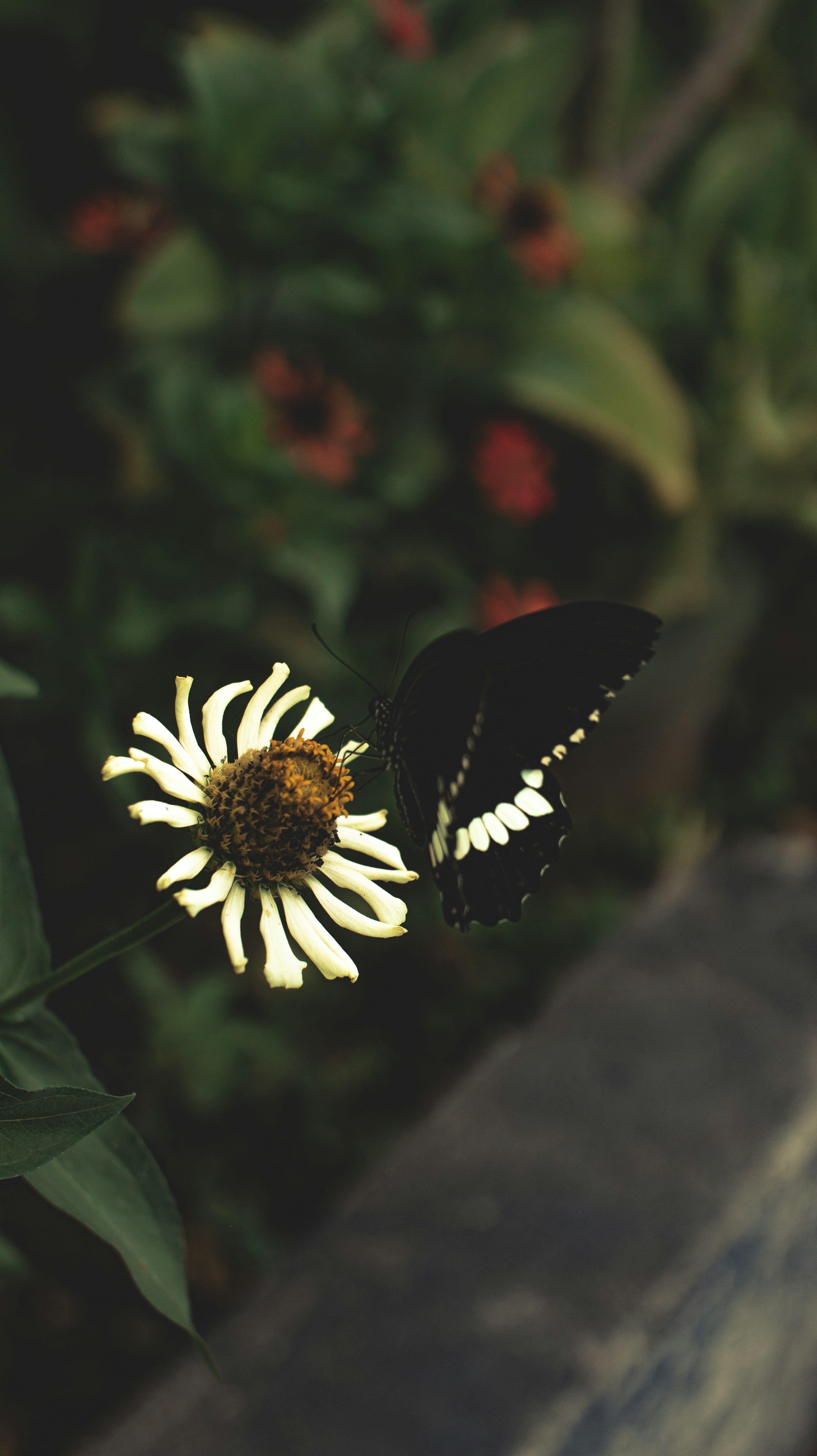 Photo by roadahead_2223