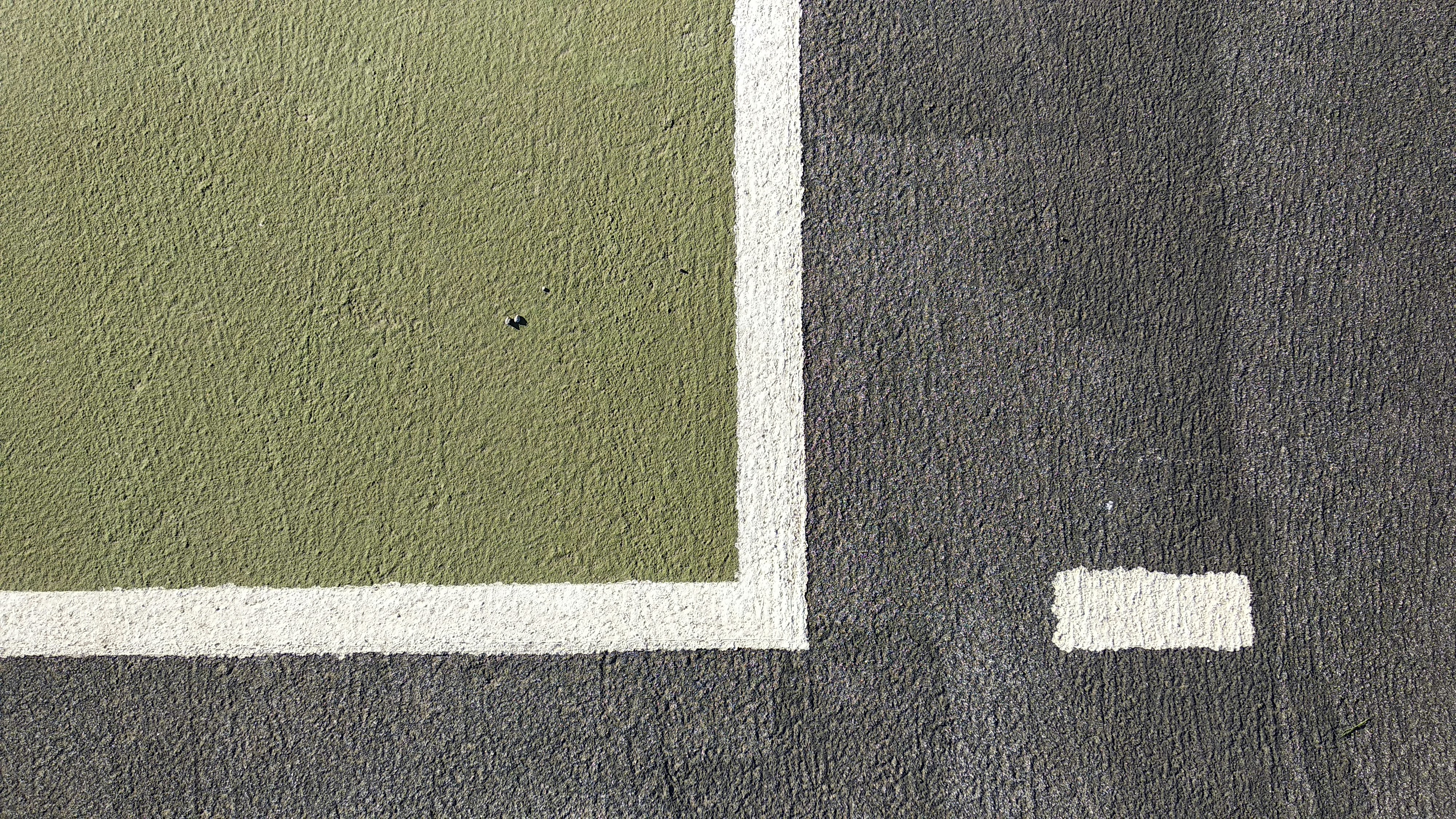 a black and white cat laying on top of a carpet