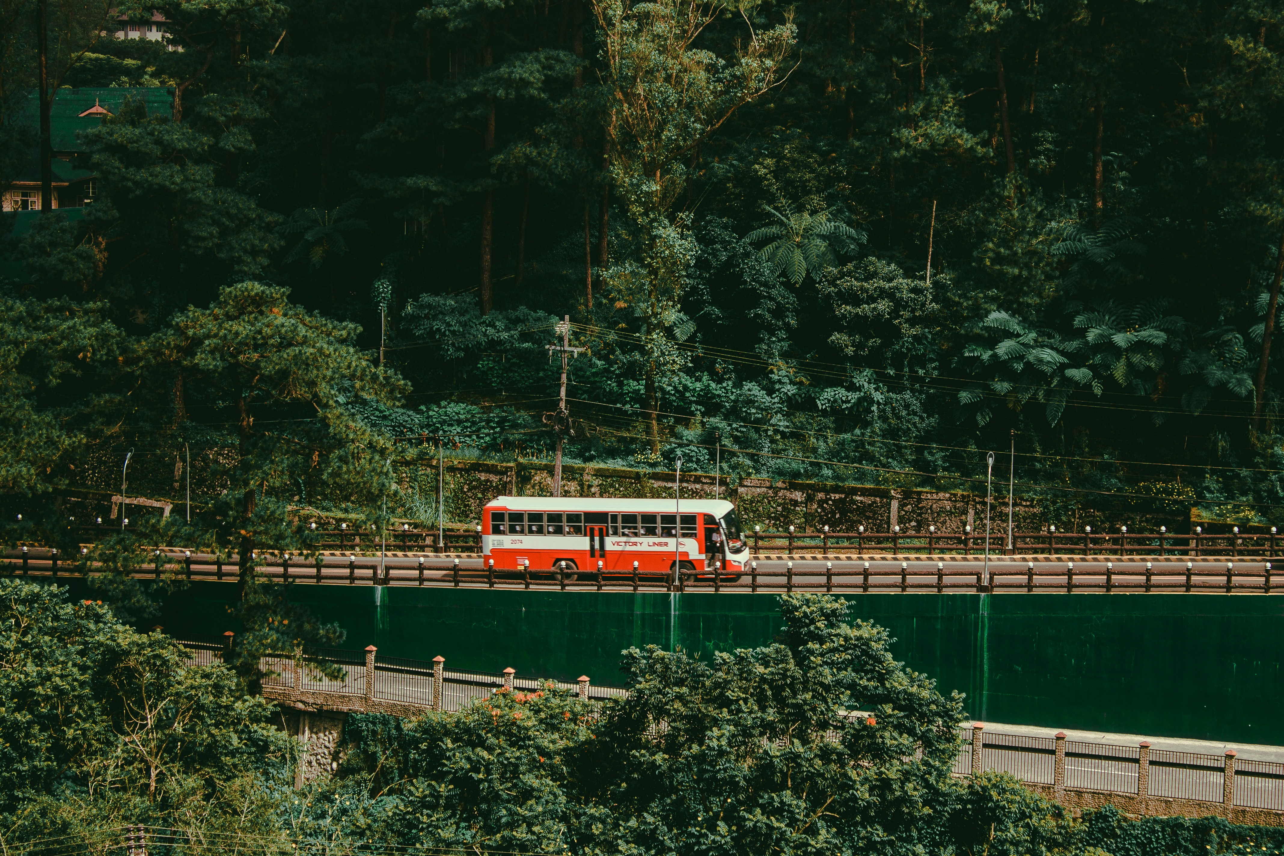 a red bus driving down a road next to a forest