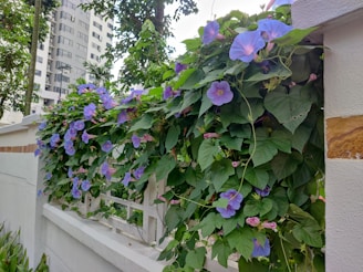 A close-up of a custom concrete fence with lush greenery and blooming trees in the background.