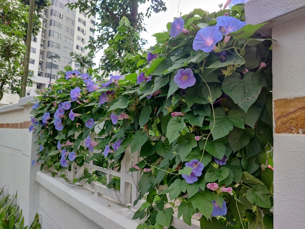 A close-up of a custom concrete fence with lush greenery and blooming trees in the background.