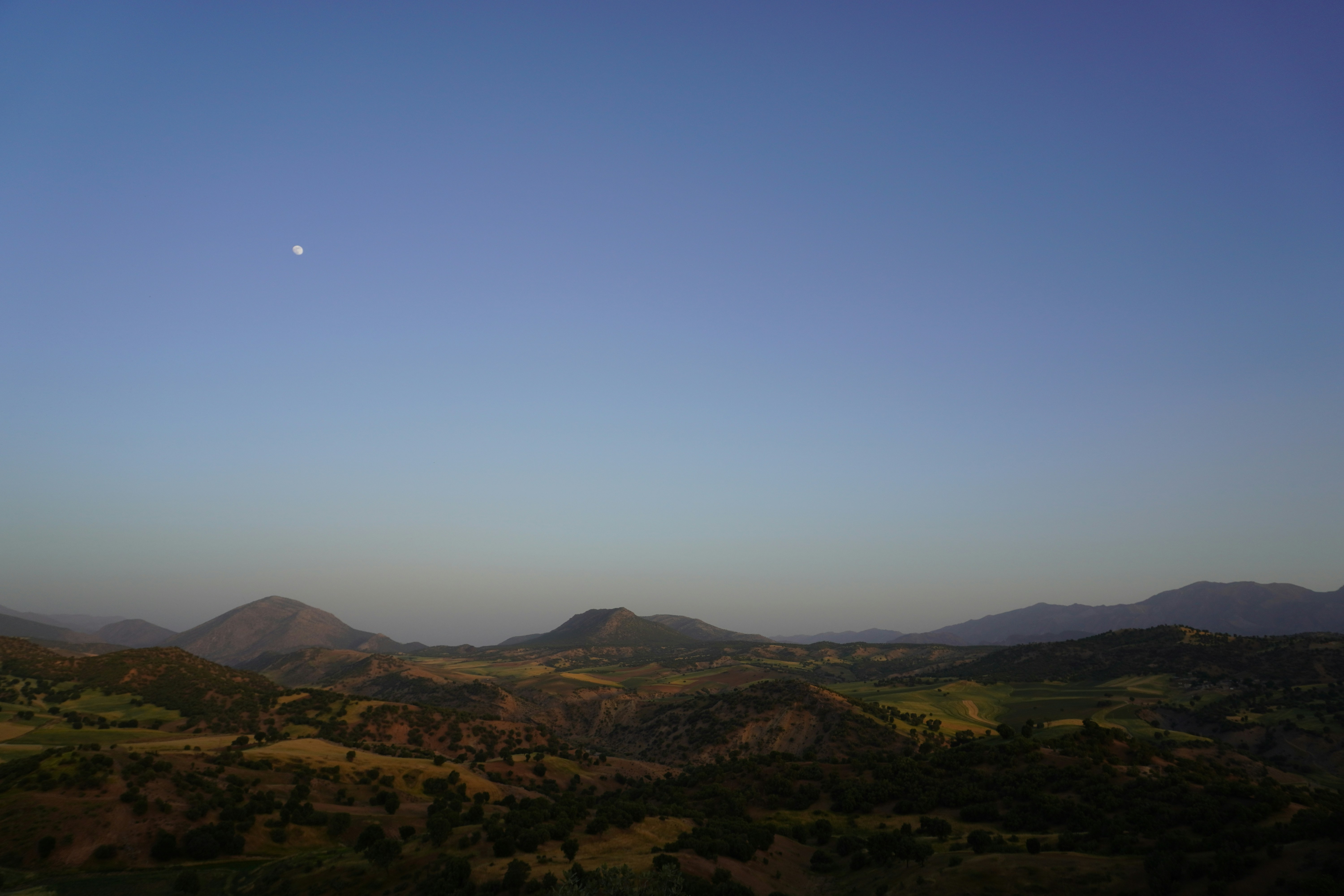 Blue Luna