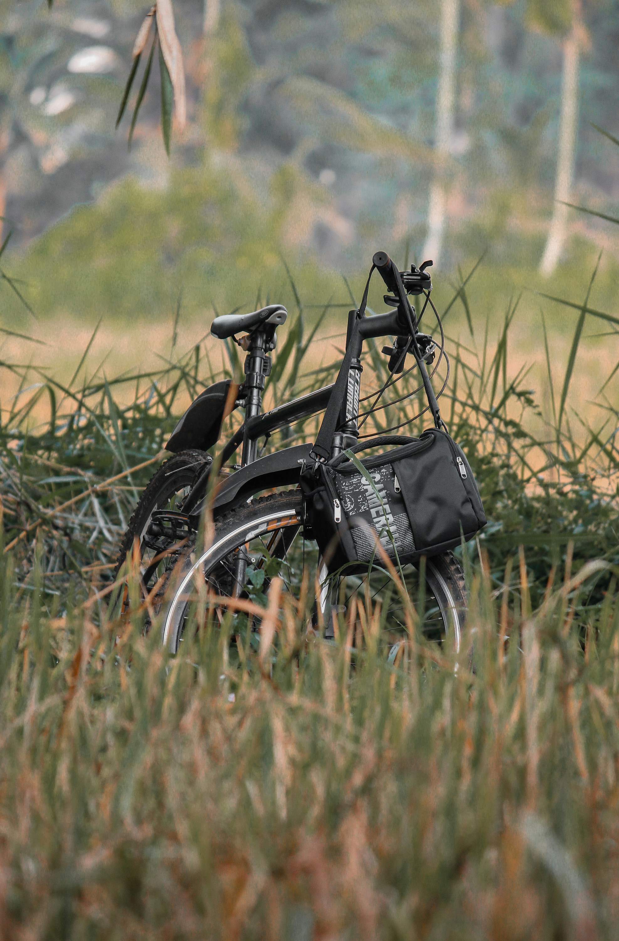 a bicycle parked in a field of tall grass
