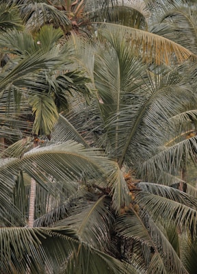 Photo 1649418041857 288b9b923c2d?q=85&w=700&h=400&fit=crop