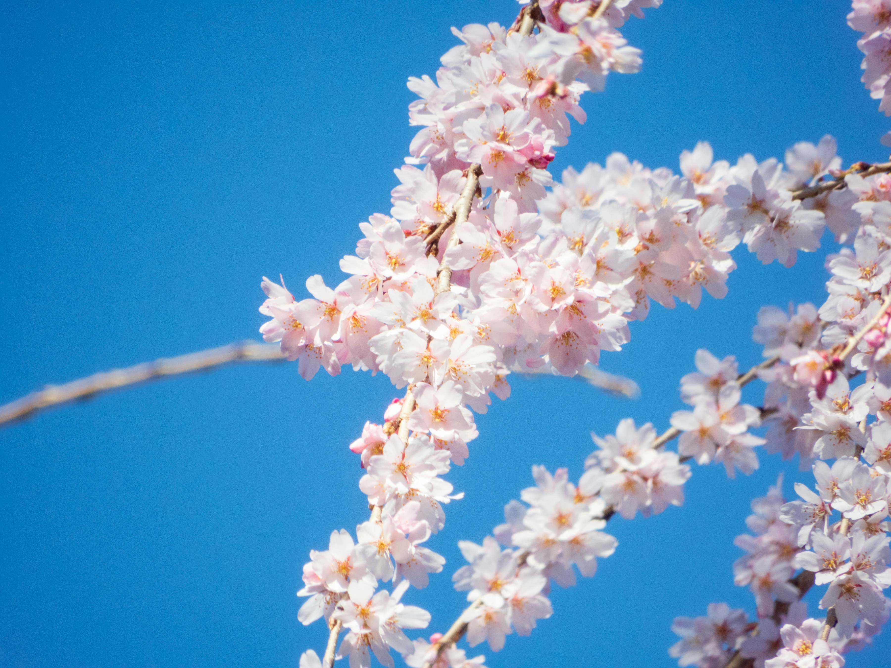 Photo by heppoko_yama