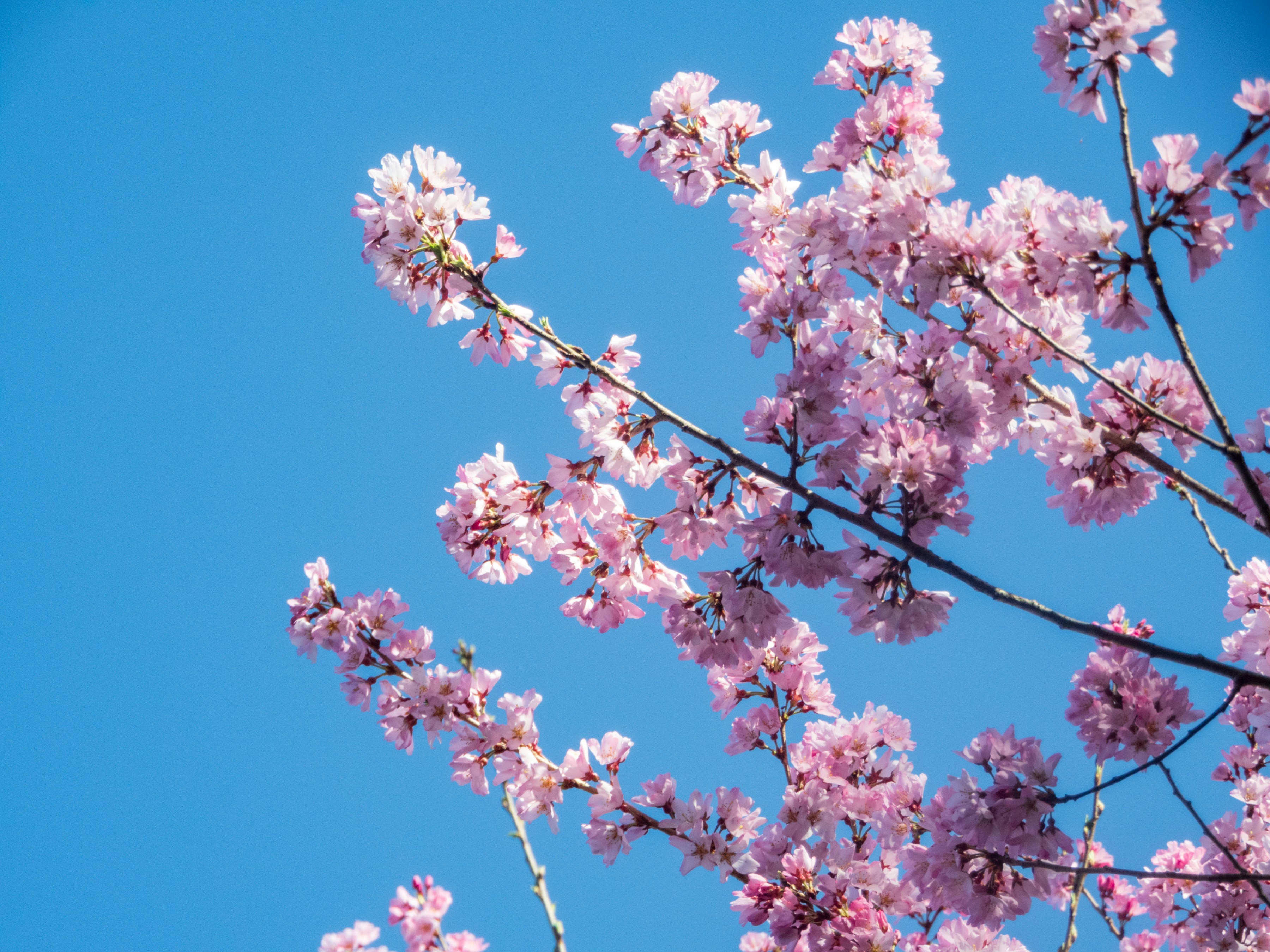 Photo by heppoko_yama