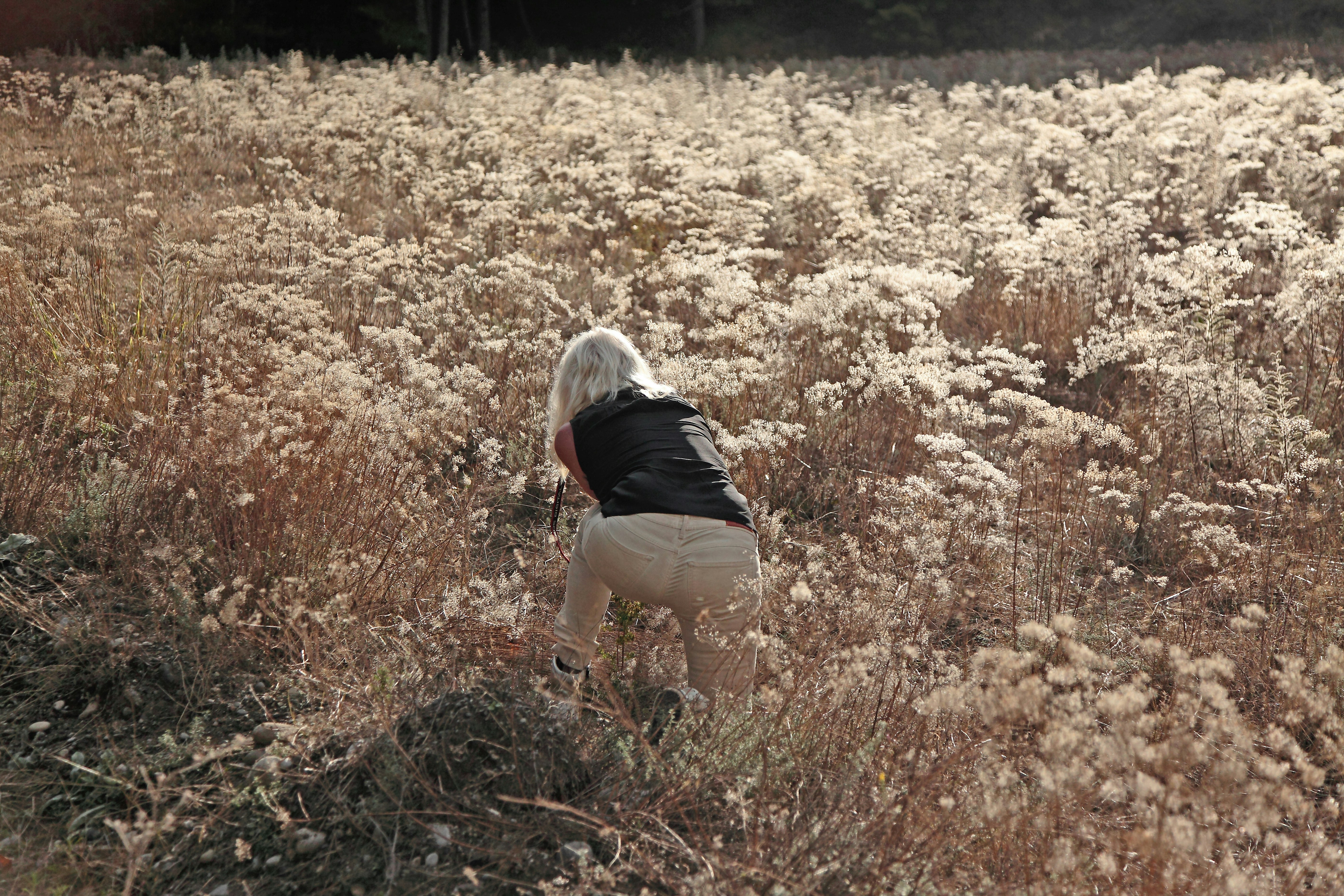 a woman standing in a field of tall grass