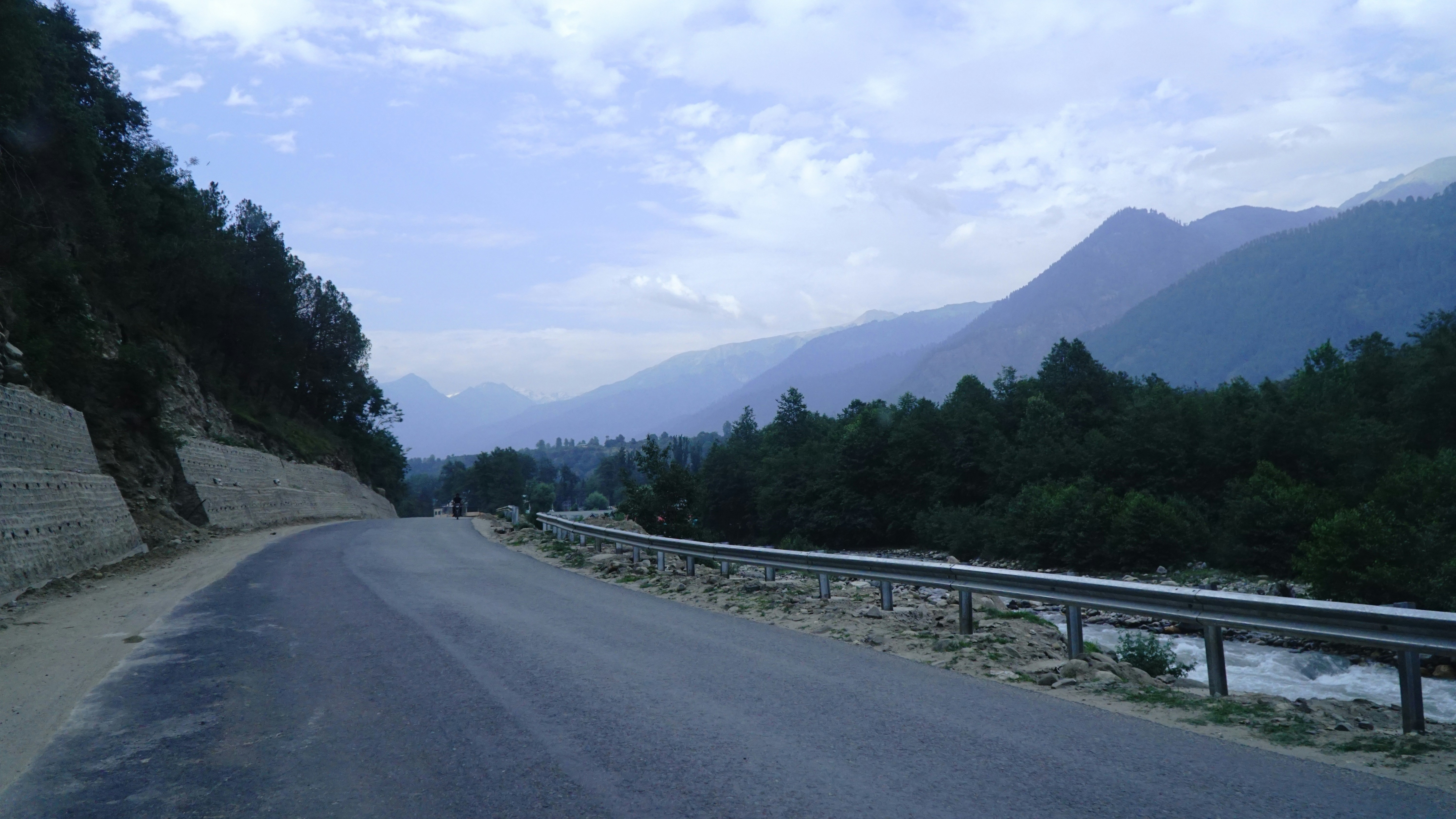 a car driving down a road next to a forest