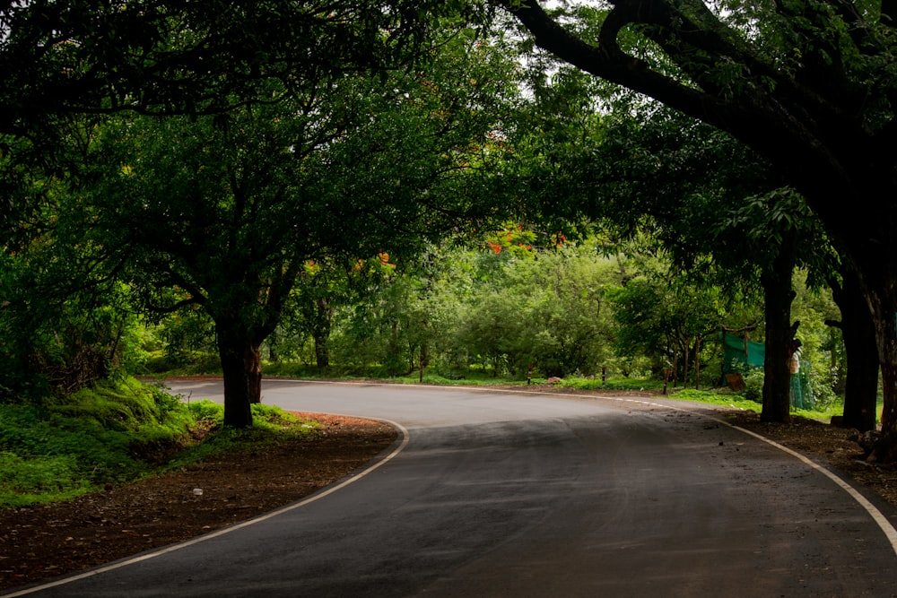 a curved road surrounded by trees on both sides